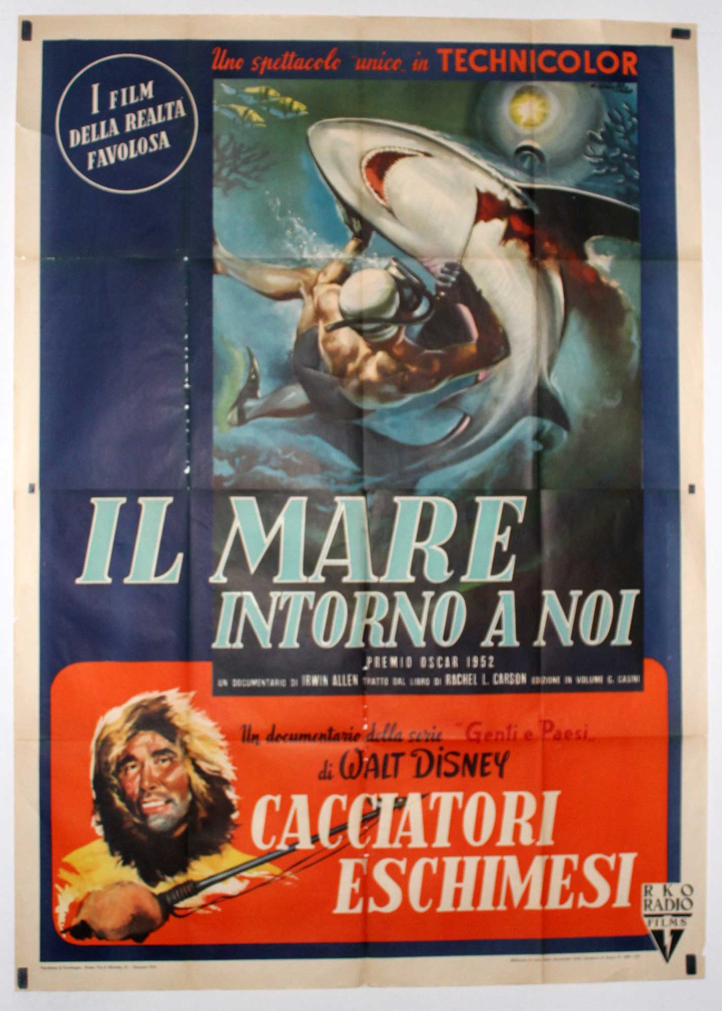 IL MARE INTORNO A NOI