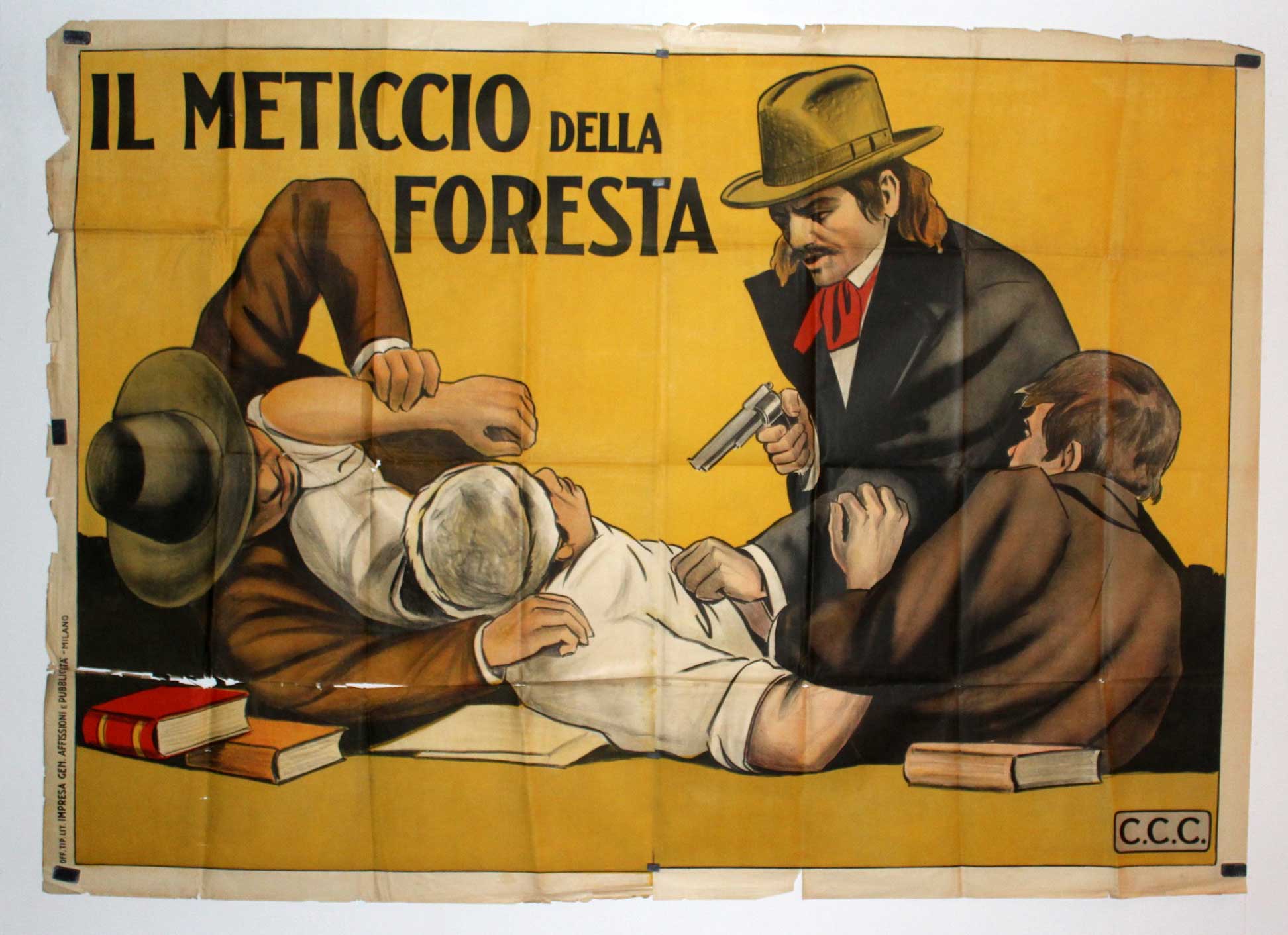 IL METICCIO DELLA FORESTA