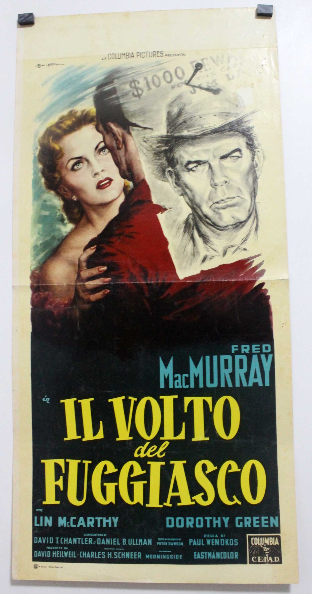 IL VOLTO DEL FUGGIASCO