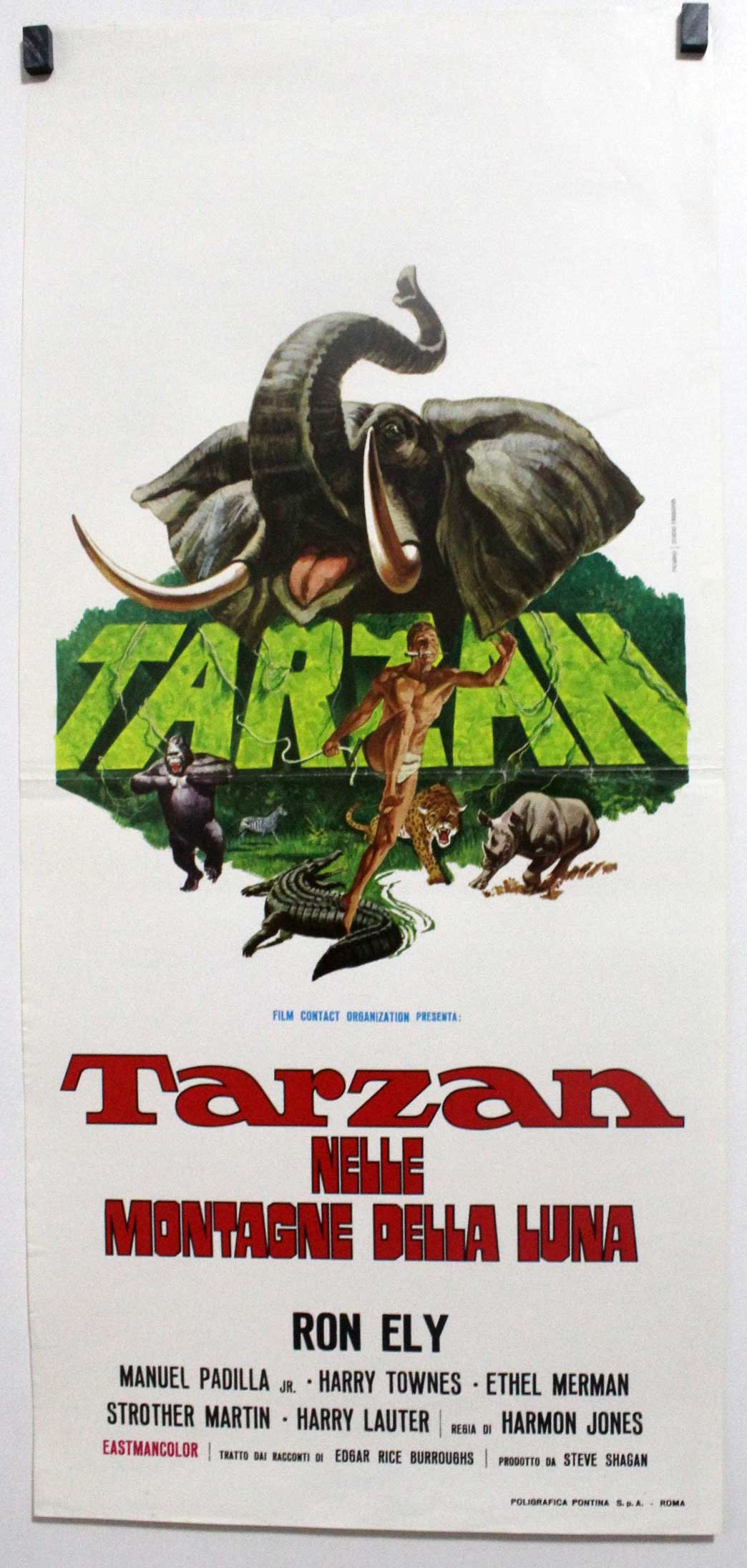 TARZAN NELLE MONTAGNE DELLA LUNA