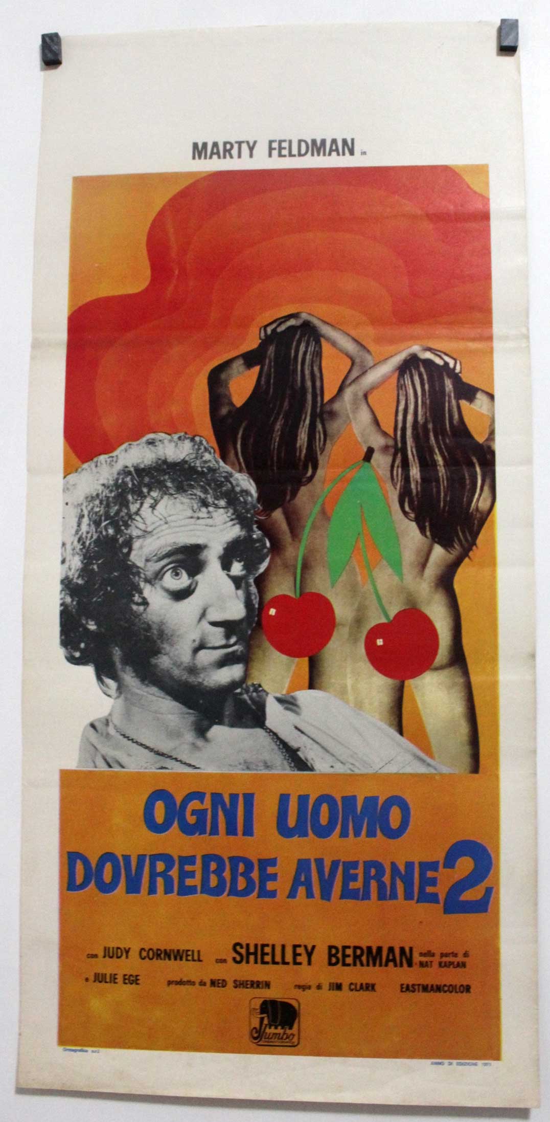 OGNI UOMO DOVREBBE AVERNE 2