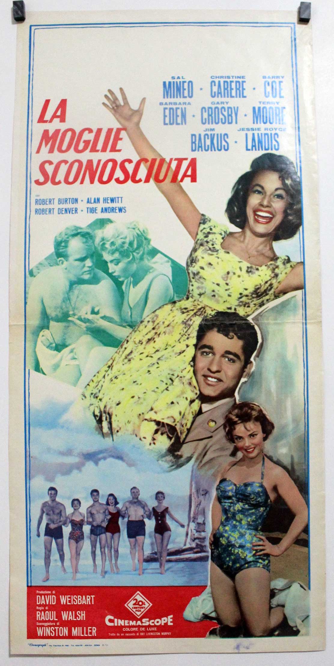 LA MOGLIE SCONOSCIUTA