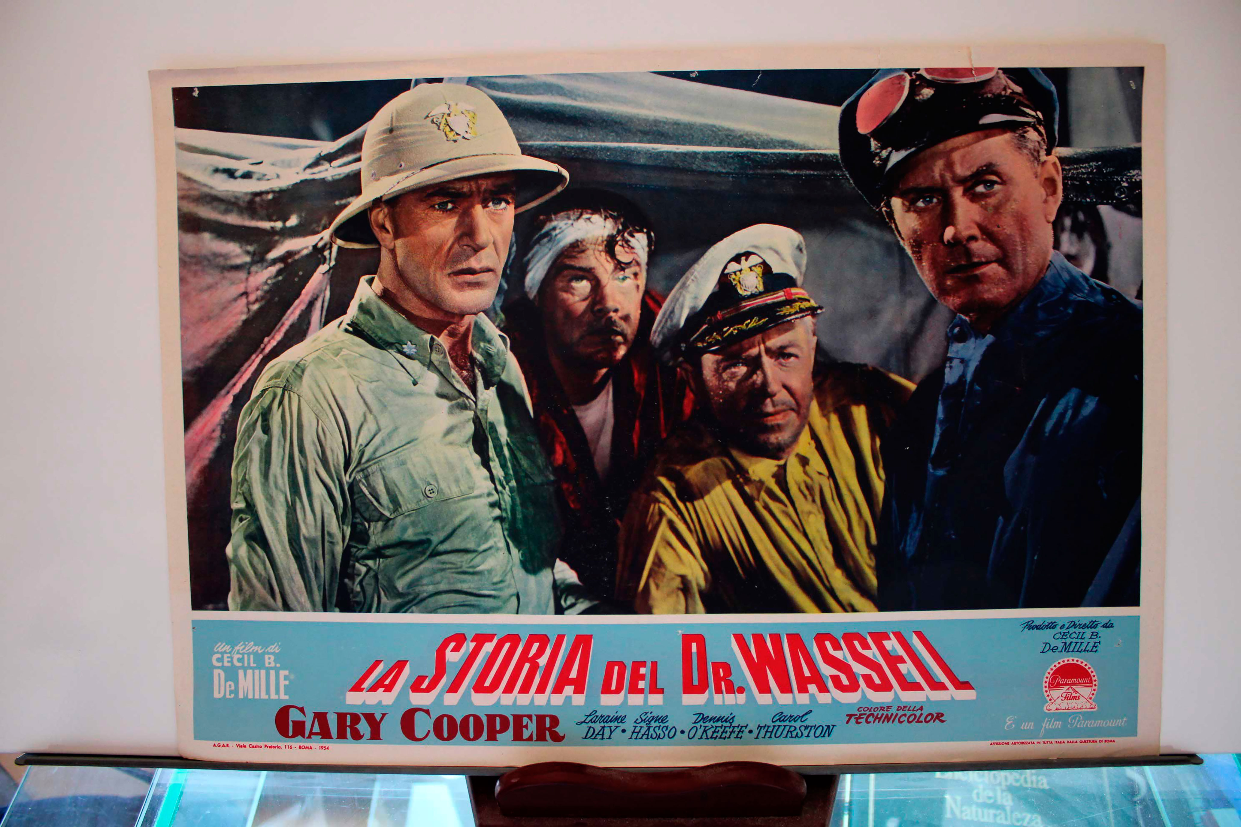 LA STORIA DEL DR. WASSELL