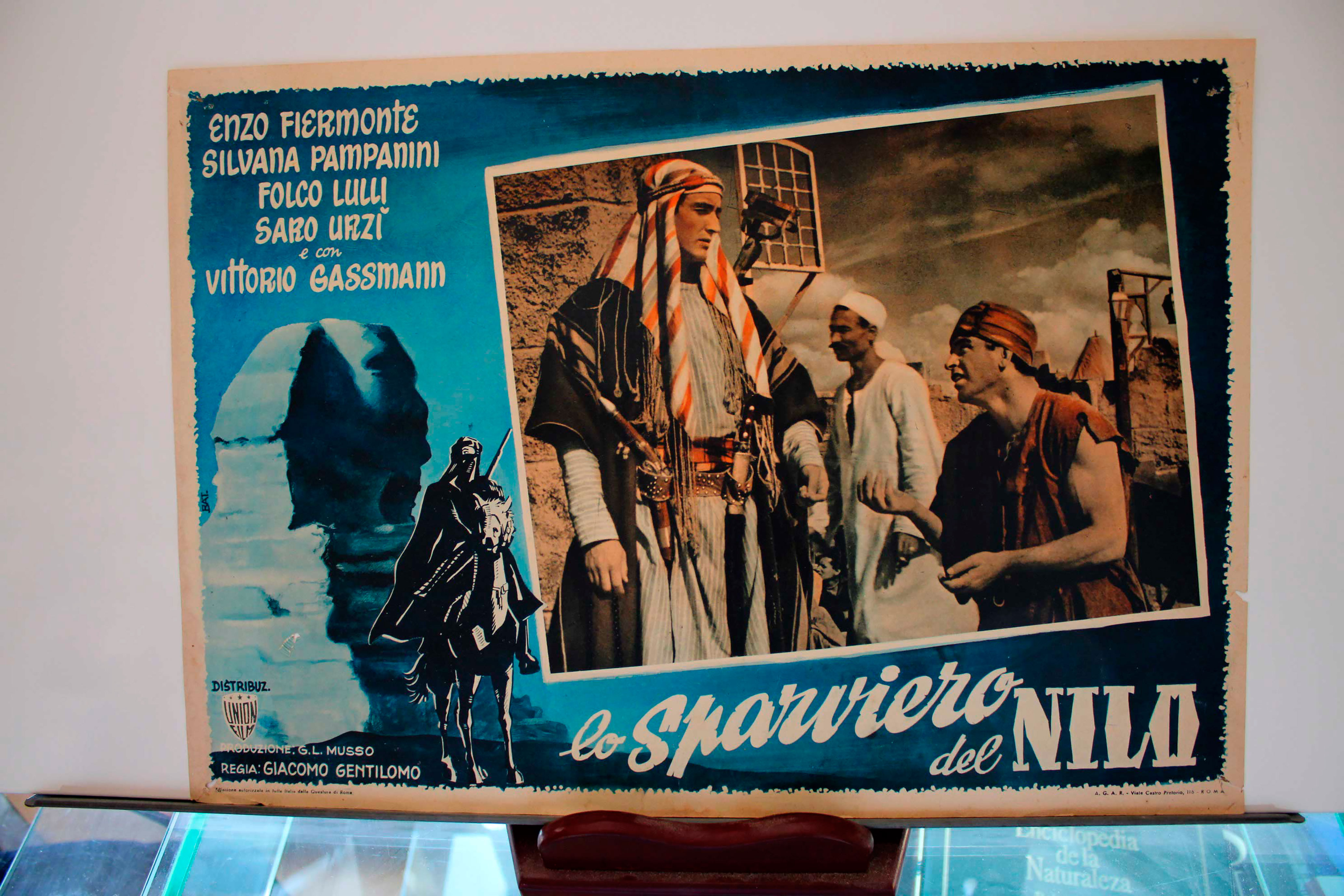 LO SPARVIERO DEL NILO