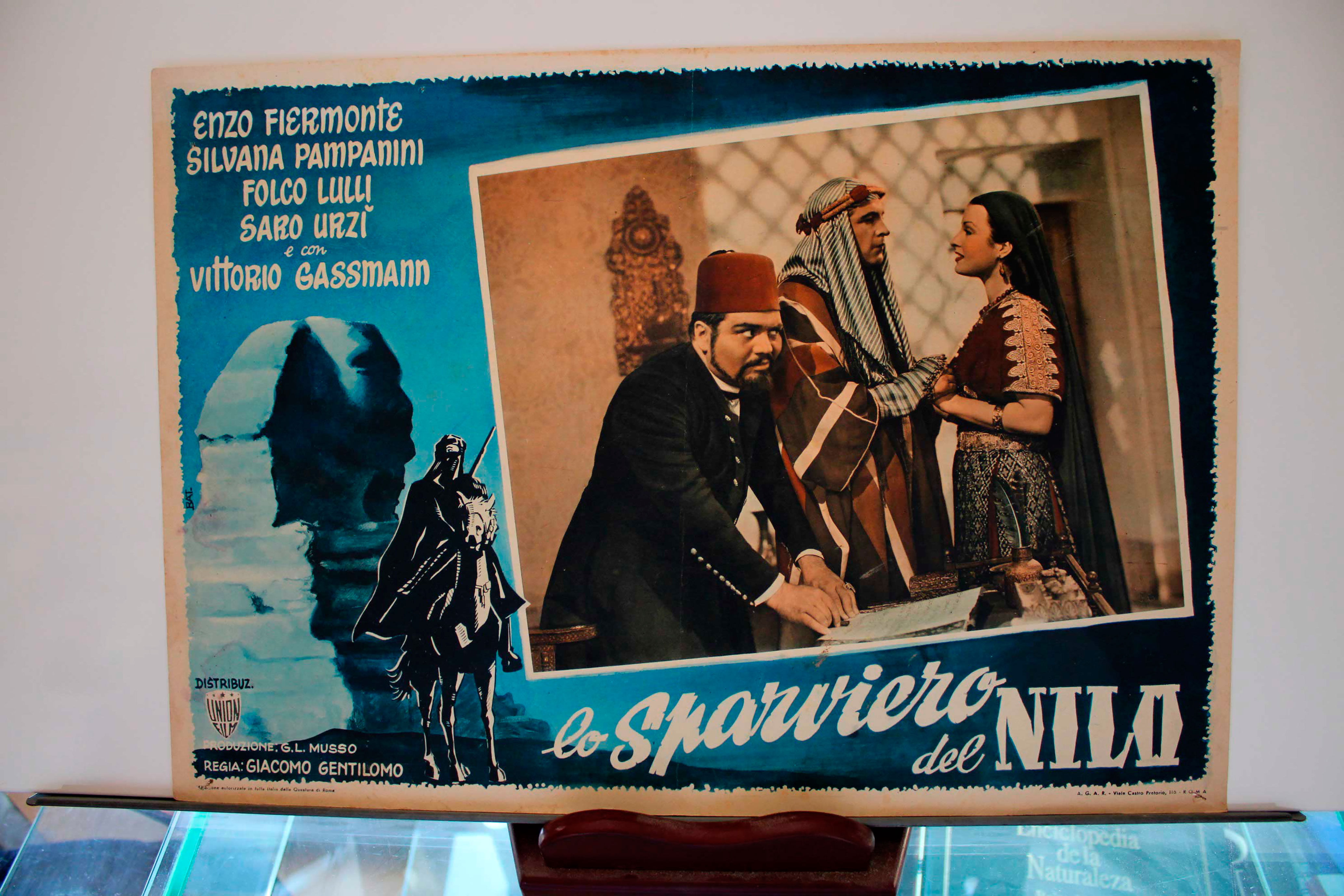 LO SPARVIERO DEL NILO