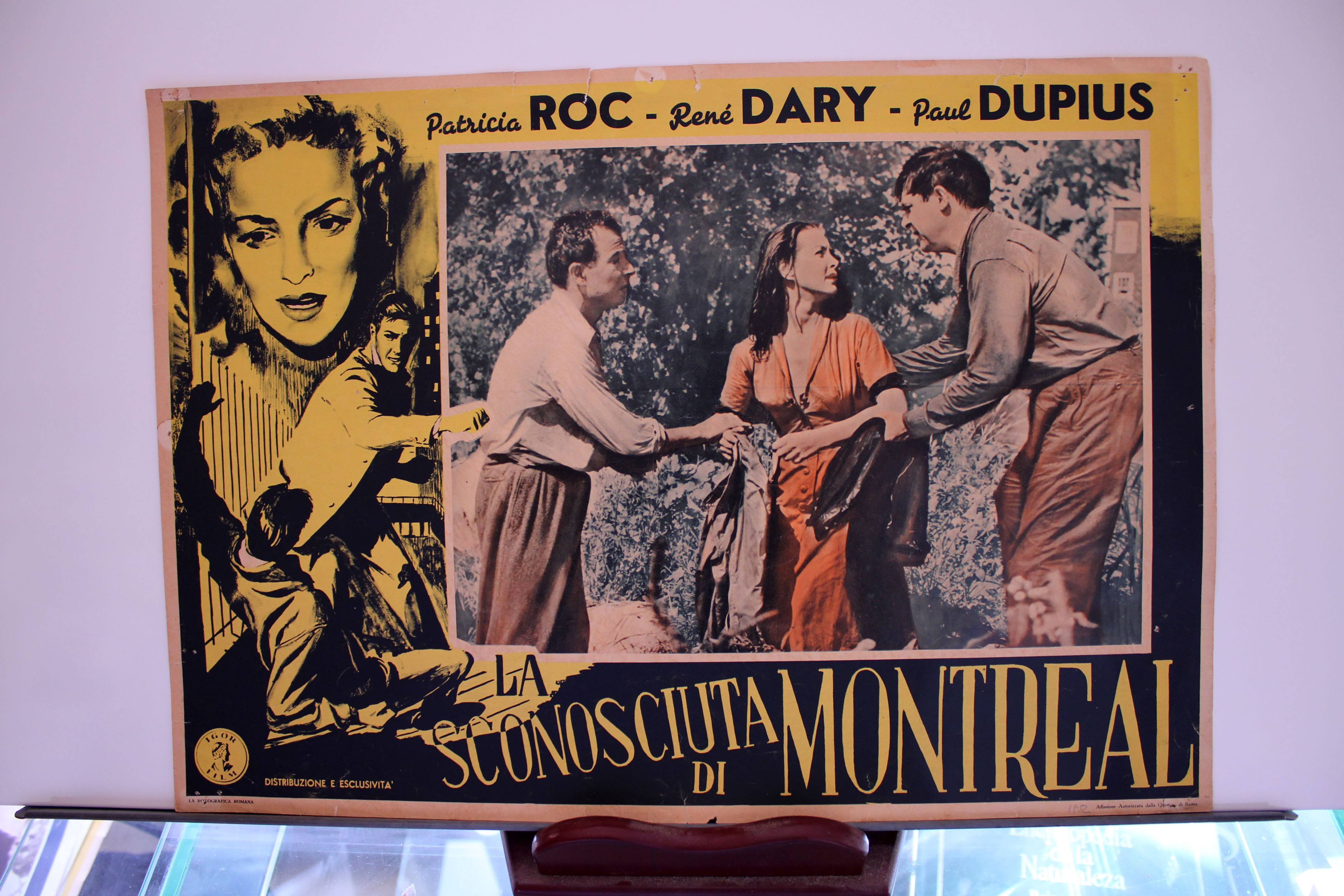 LA SCONOSCIUTA DI MONTREAL