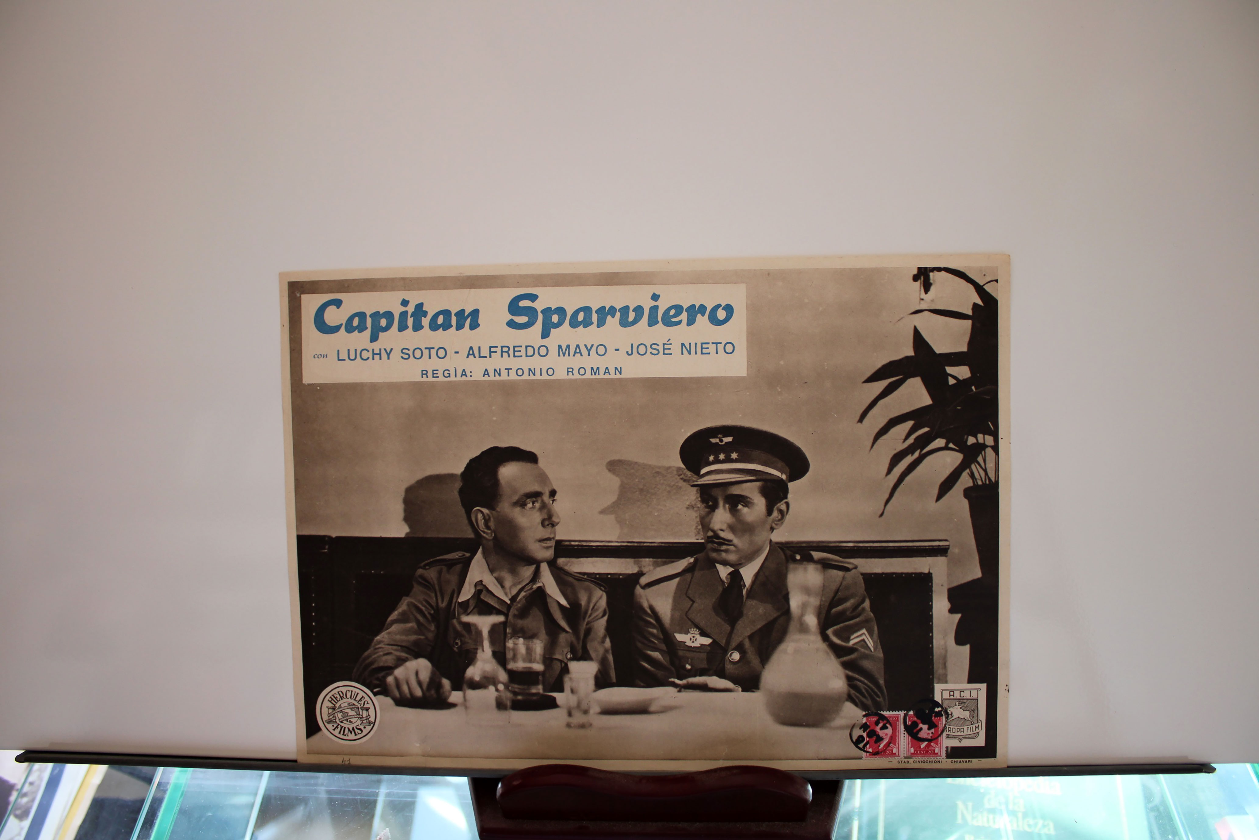 CAPITAN SPARVIERO