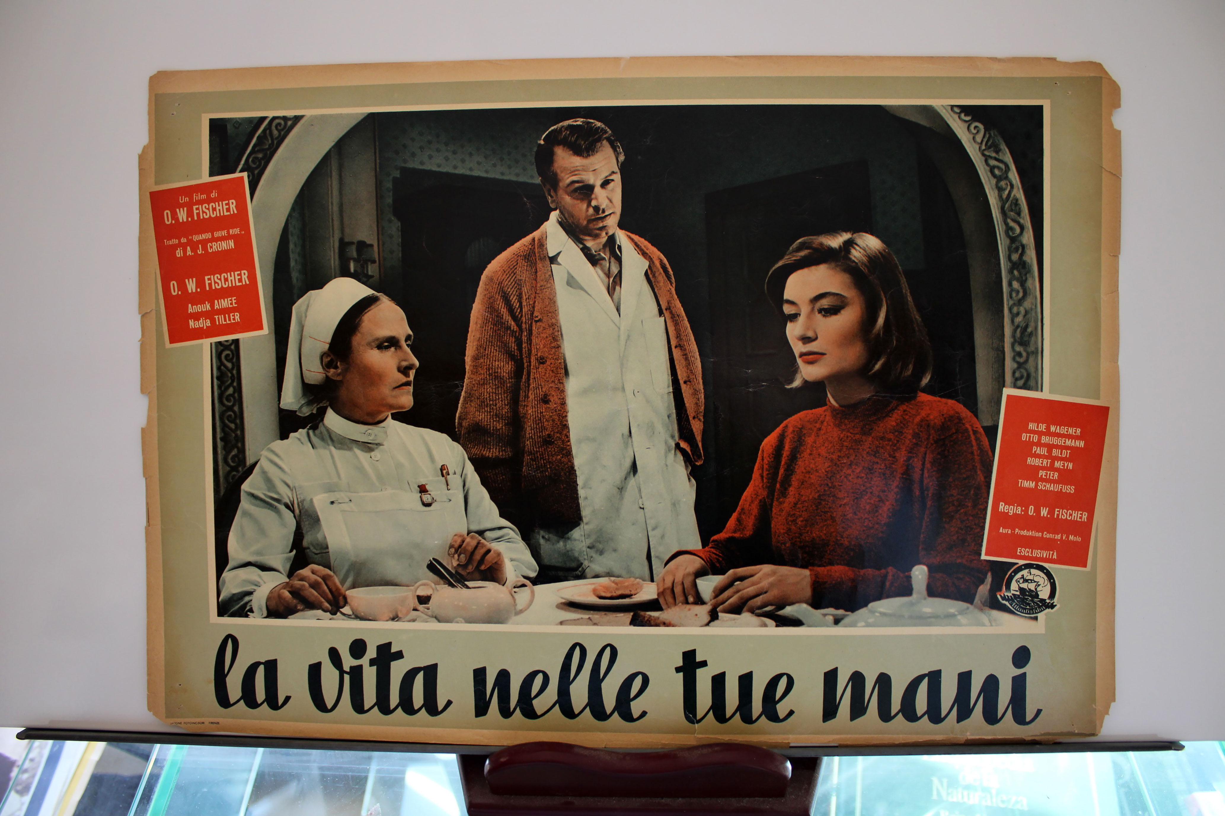 LA VITA NELLE TUE MANI