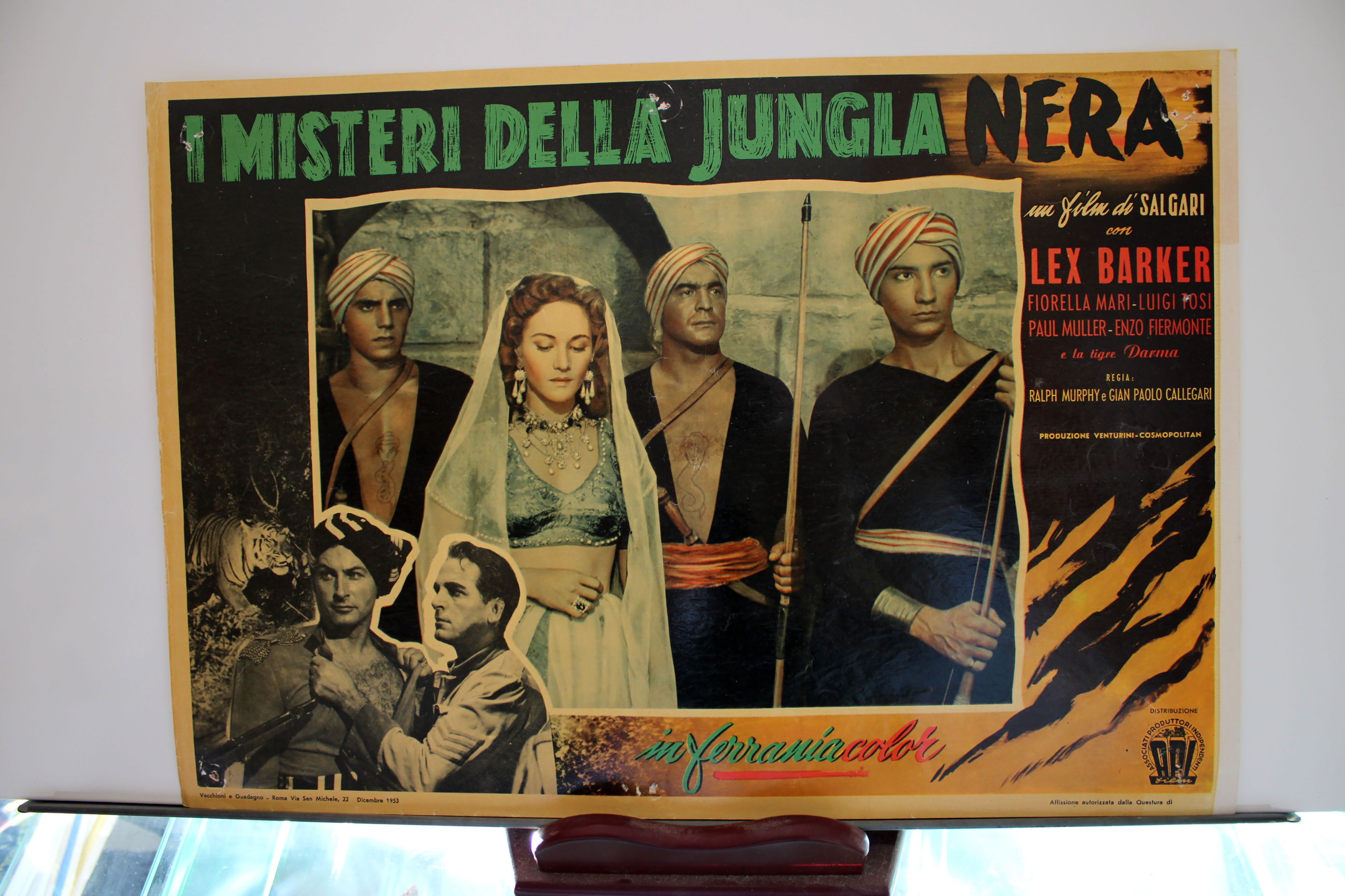 I MISTERI DELLA JUNGLA NERA 