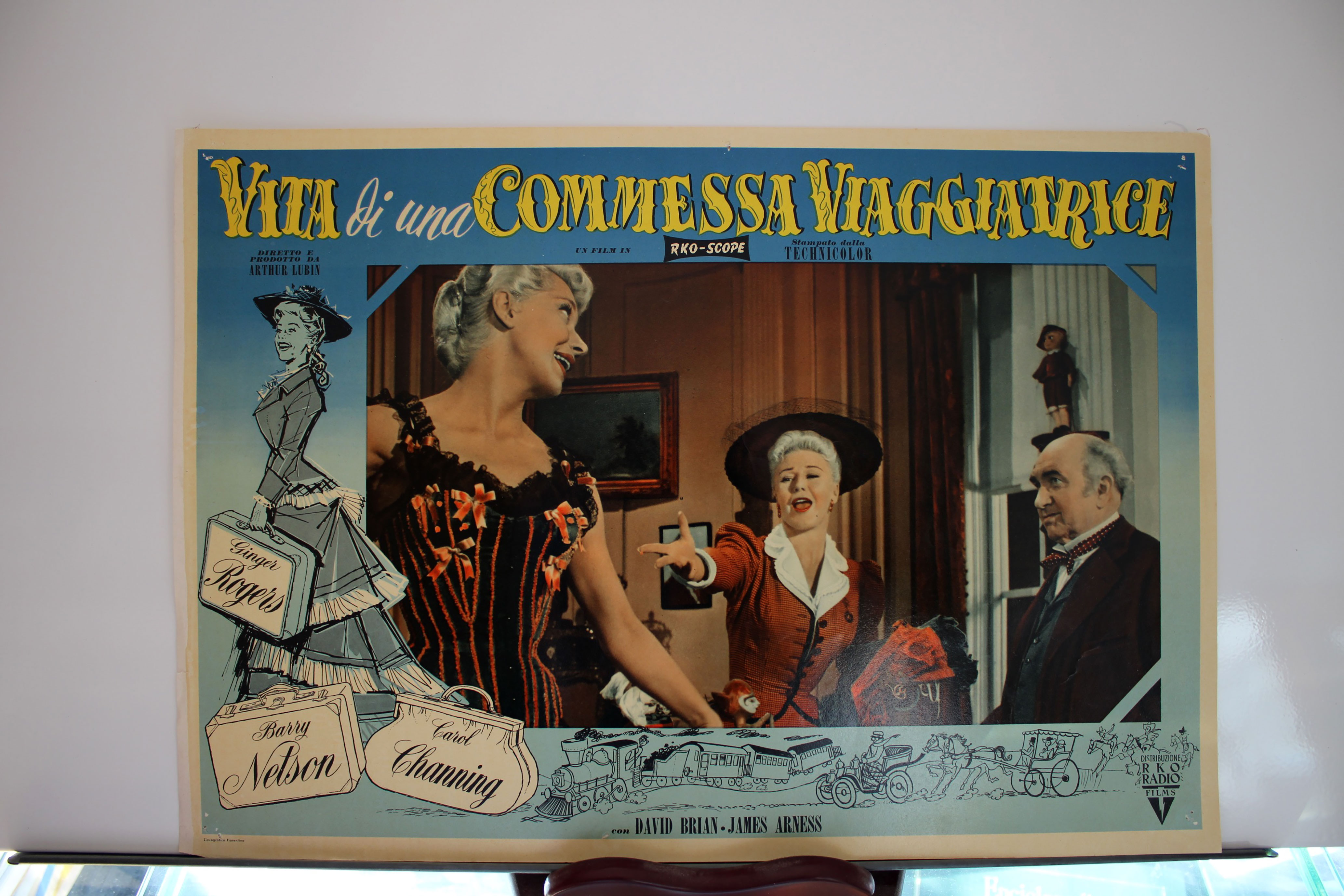 VITA DI UNA COMMESSA VIAGGIATRICE