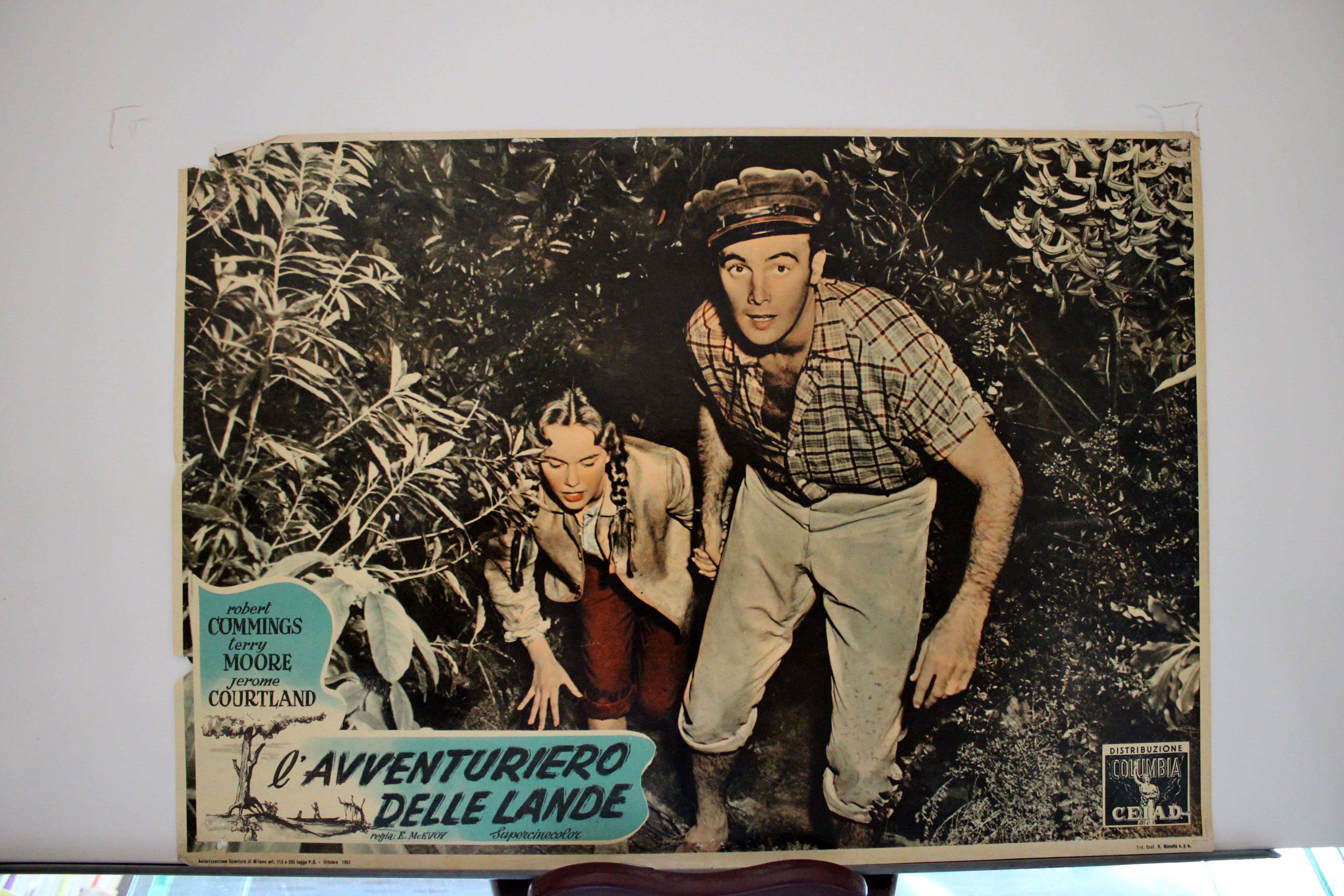 IL AVVENTURIERO DELLE LANDE