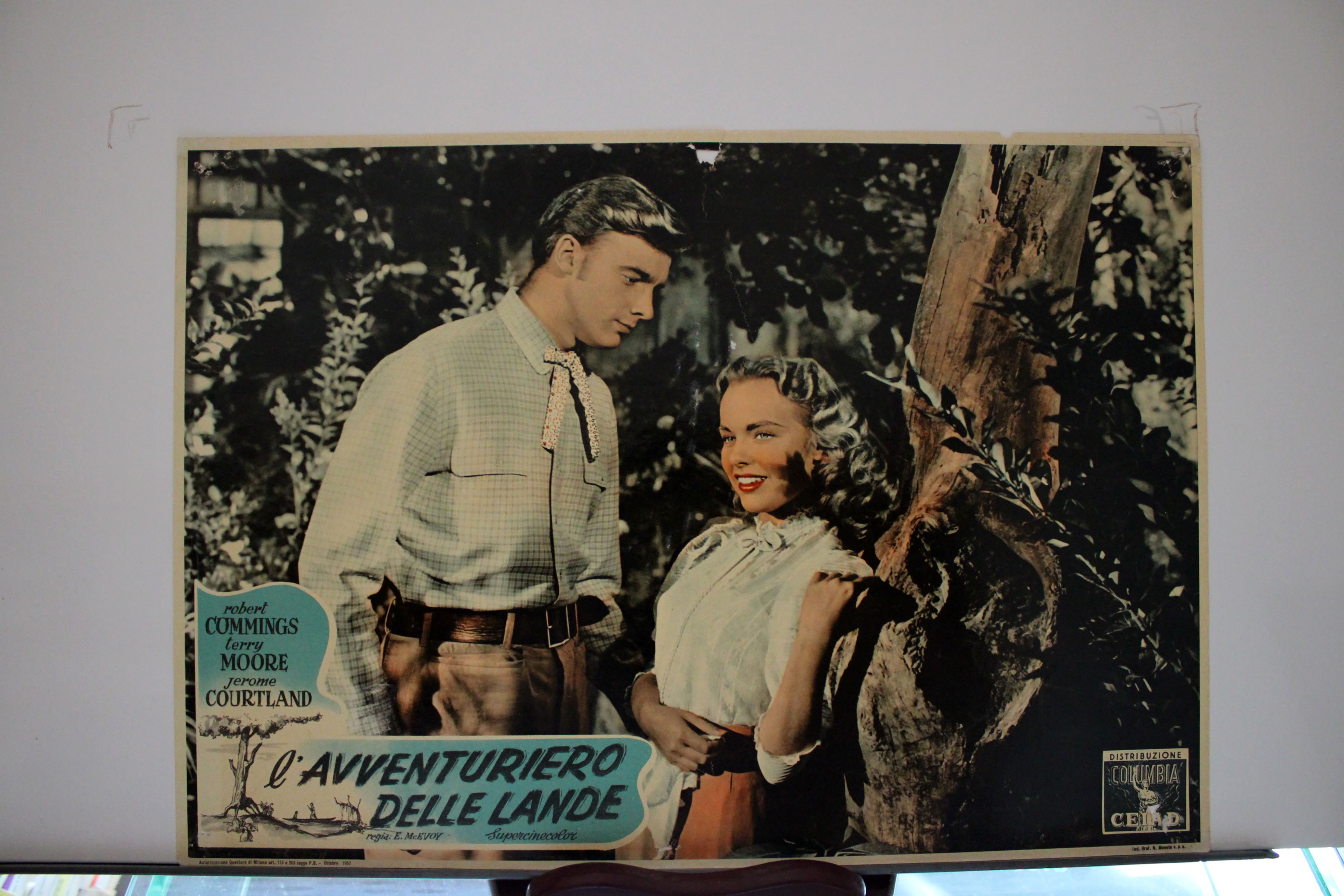 IL AVVENTURIERO DELLE LANDE