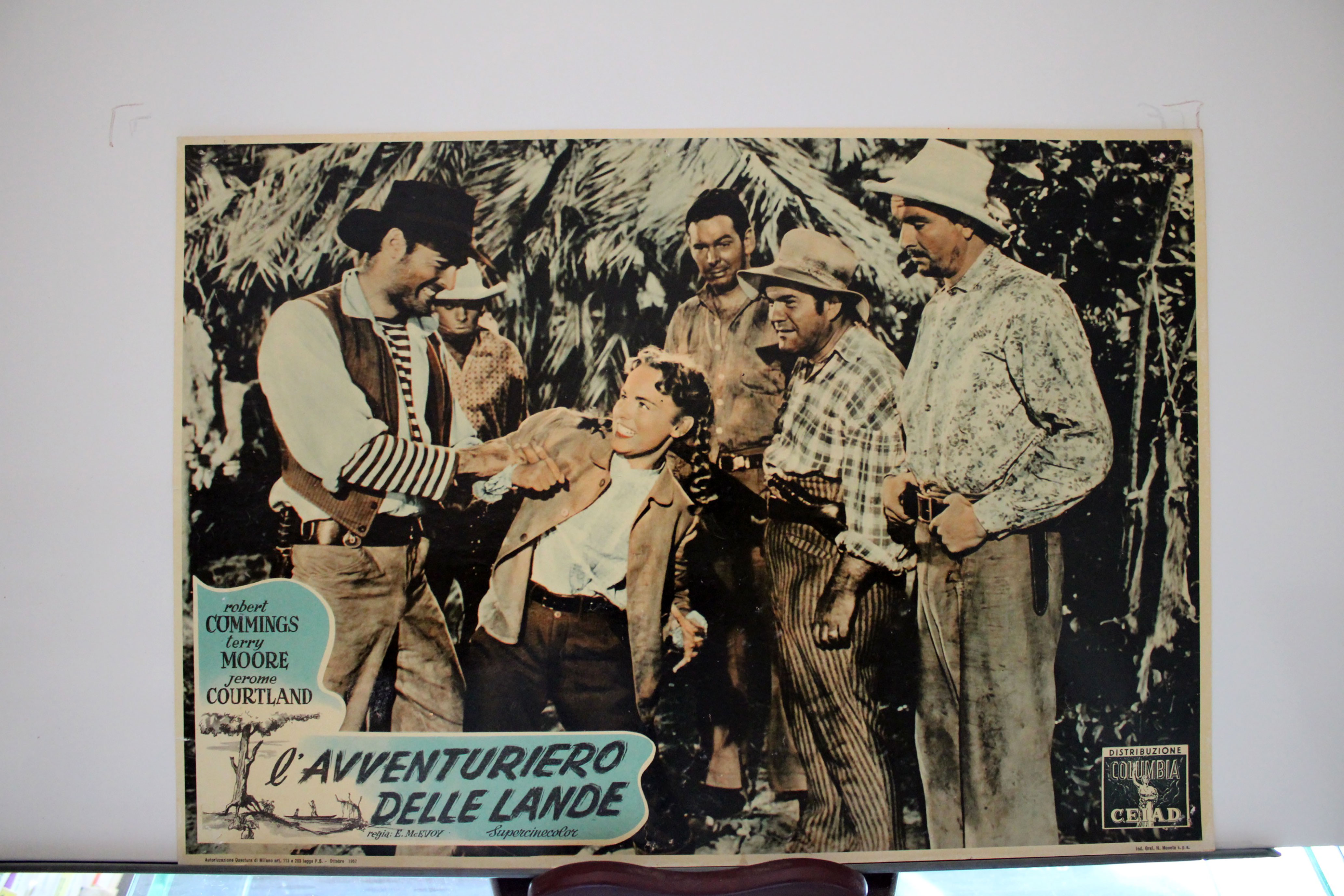 IL AVVENTURIERO DELLE LANDE