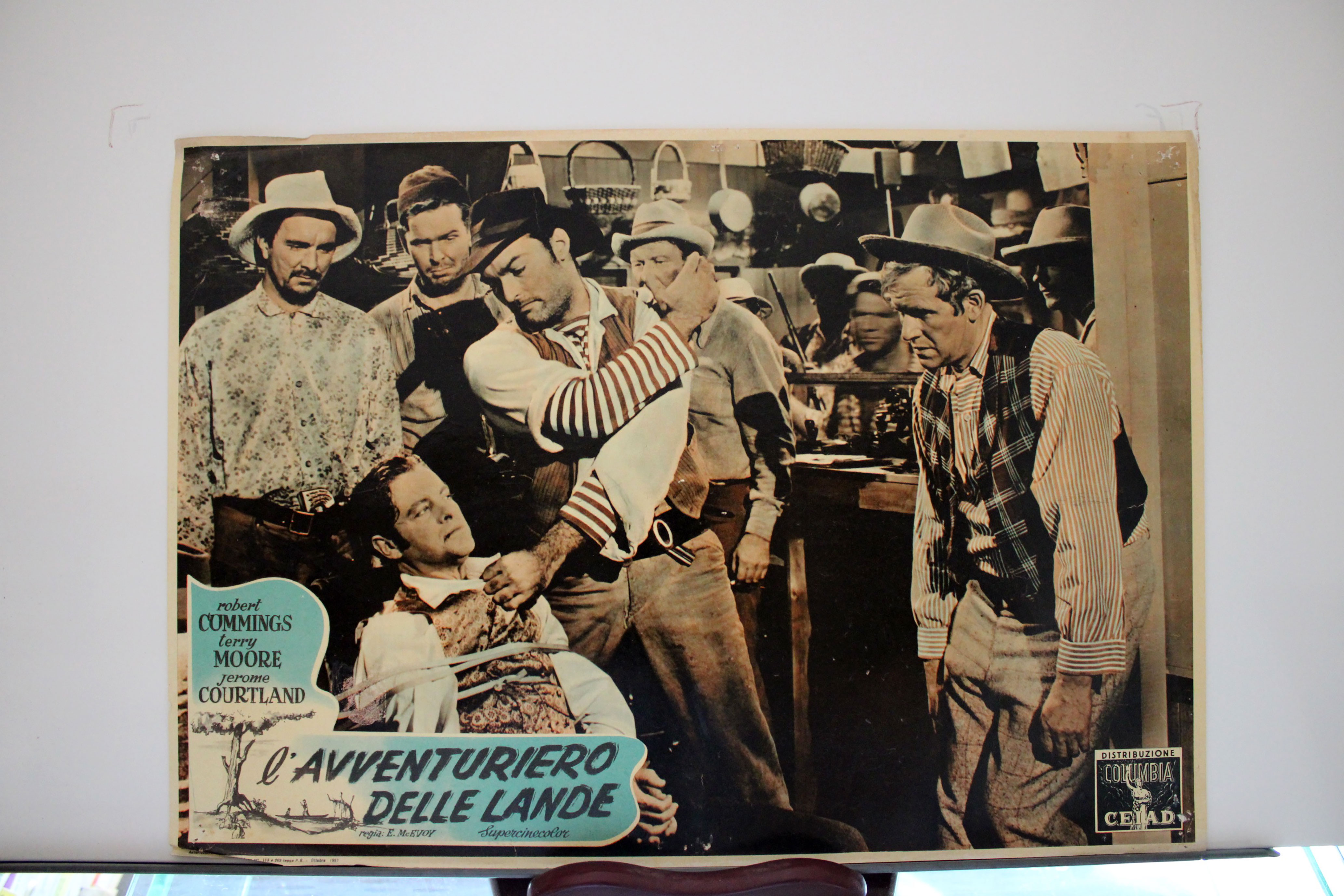 IL AVVENTURIERO DELLE LANDE