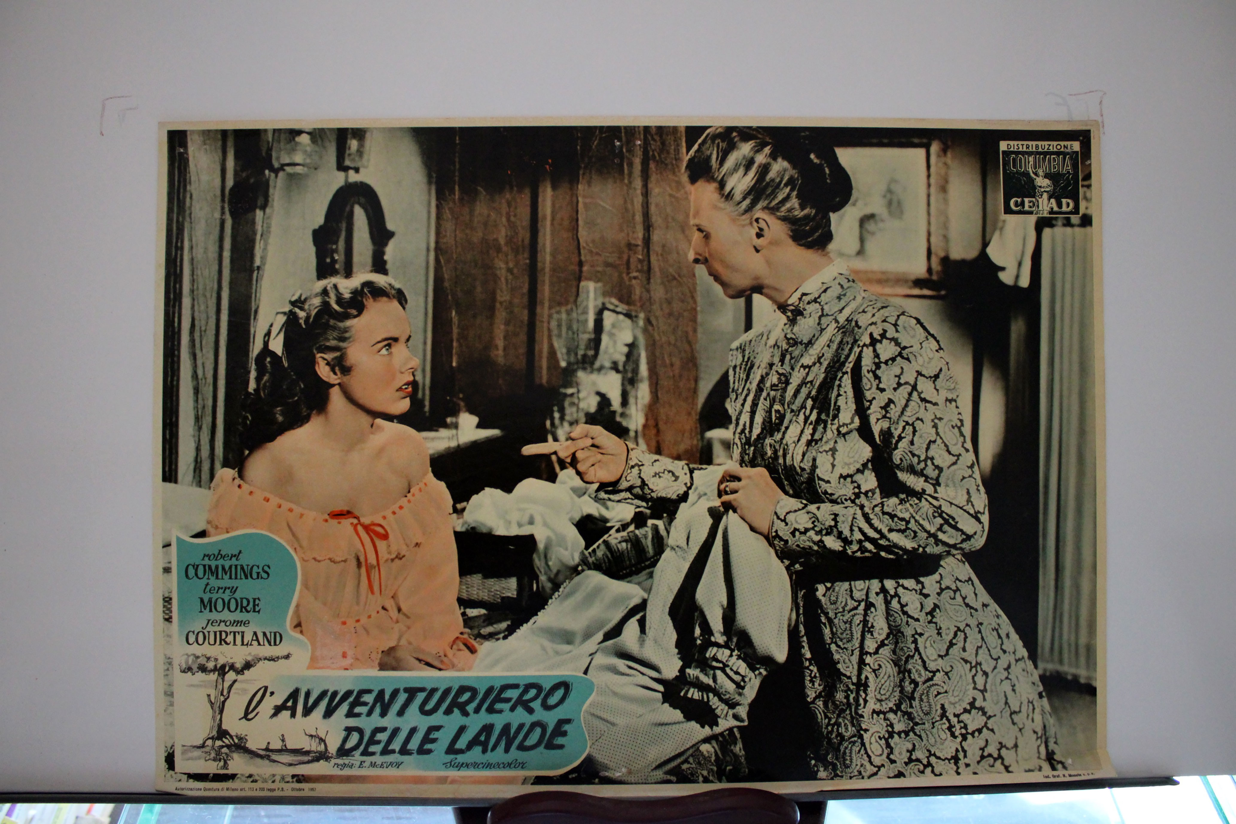 IL AVVENTURIERO DELLE LANDE