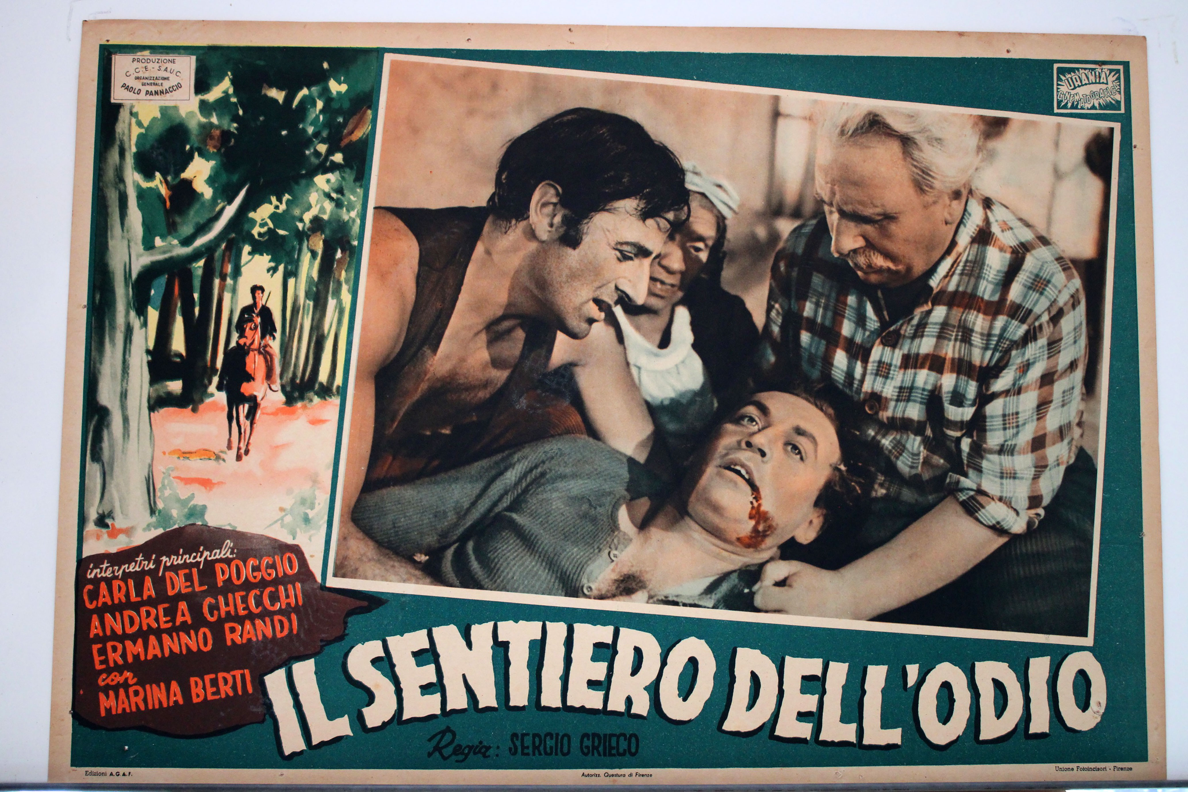 IL SENTIERO DELLODIO