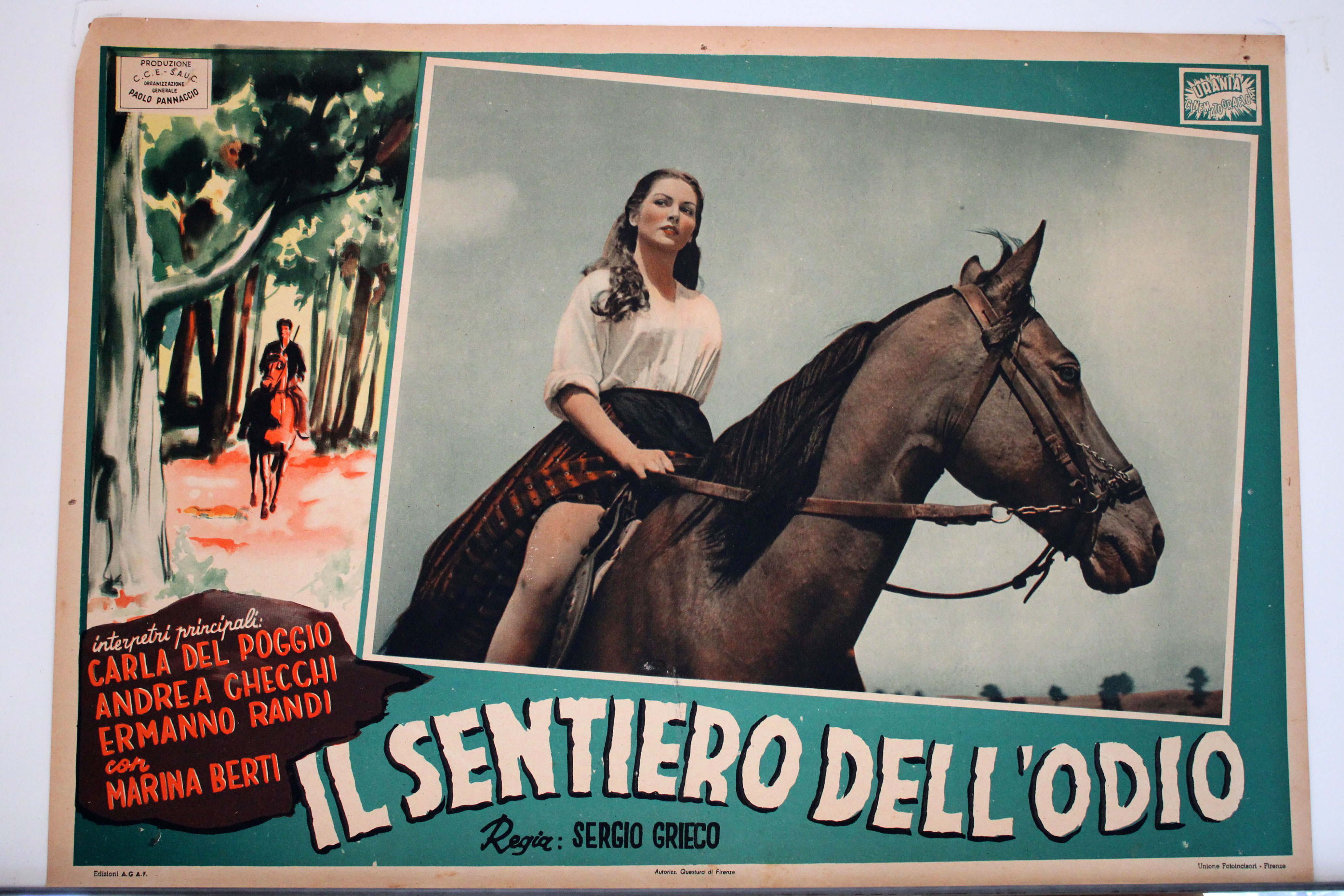 IL SENTIERO DELLODIO