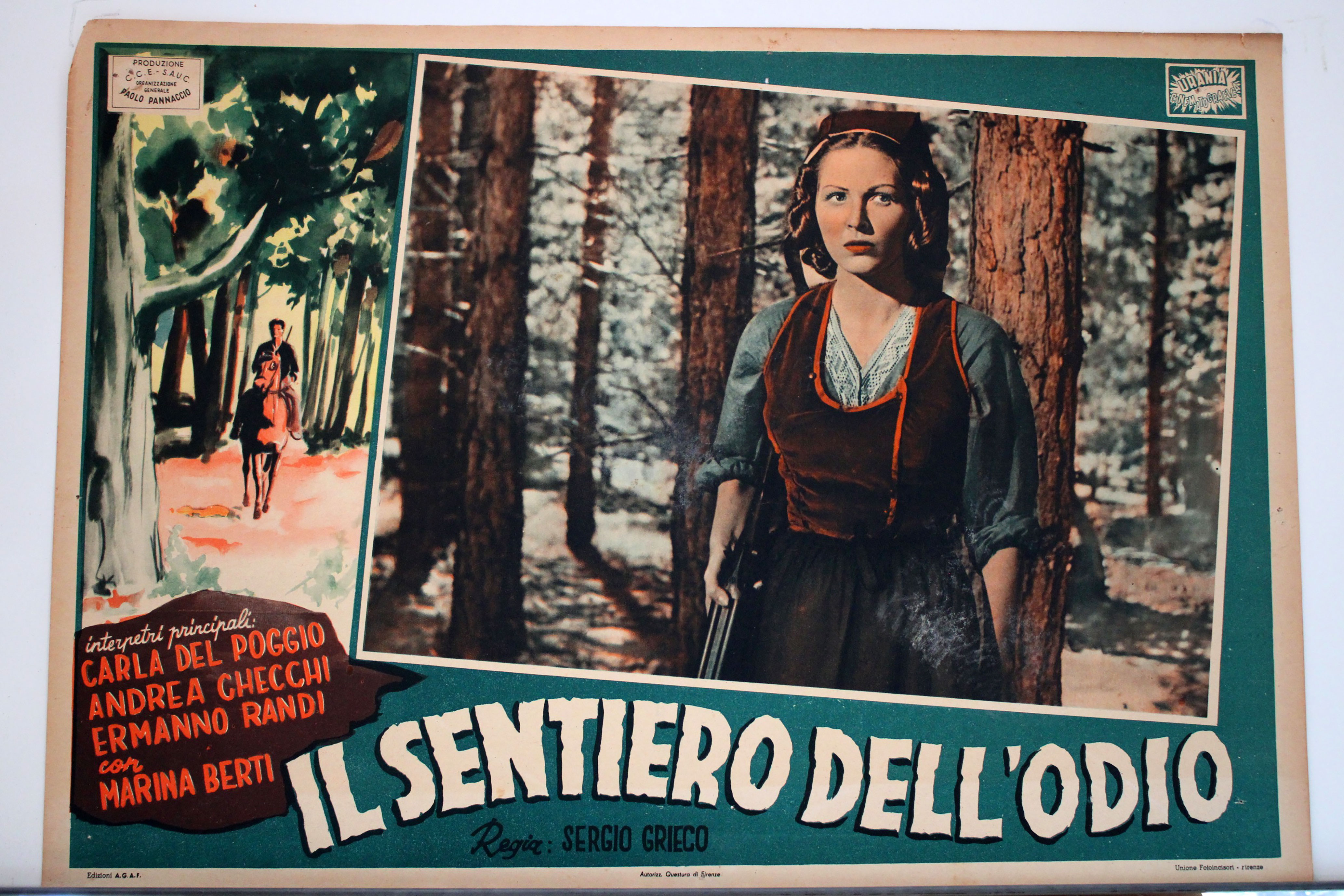 IL SENTIERO DELLODIO