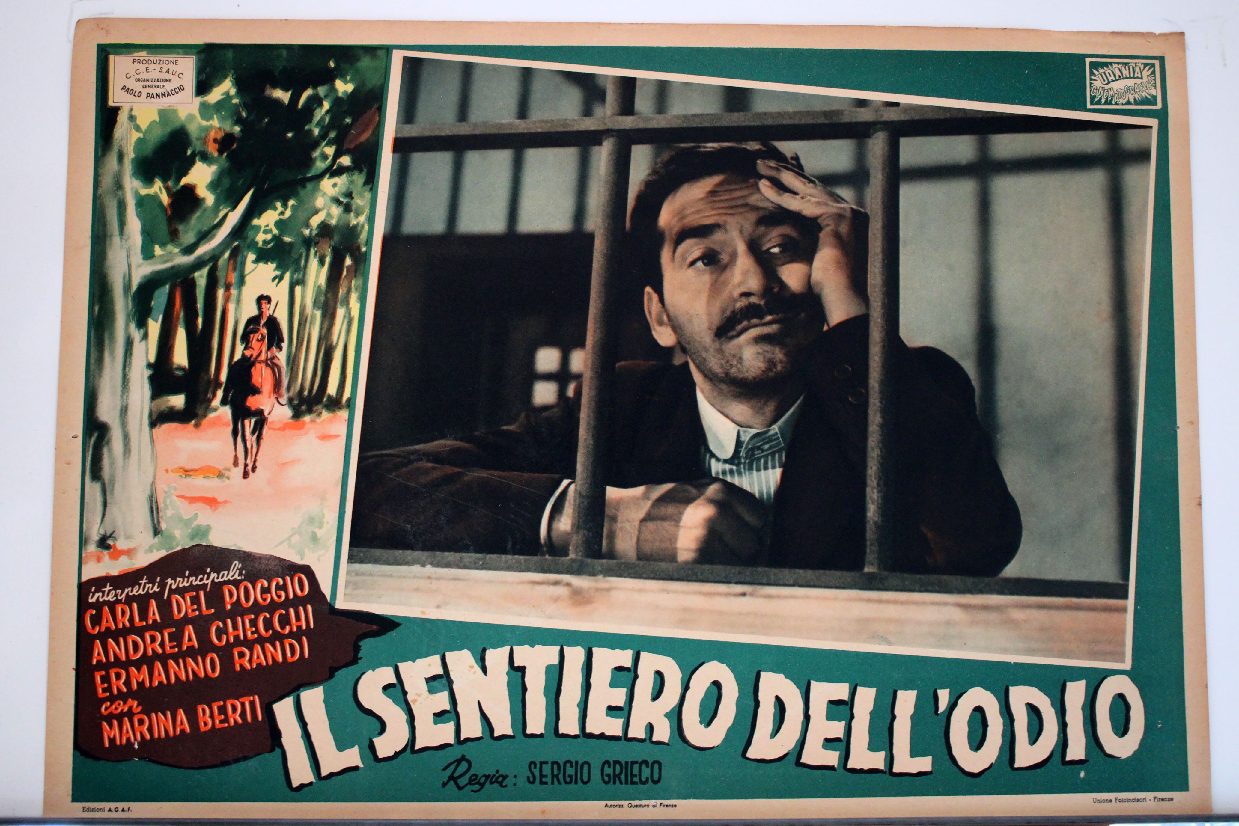 IL SENTIERO DELLODIO