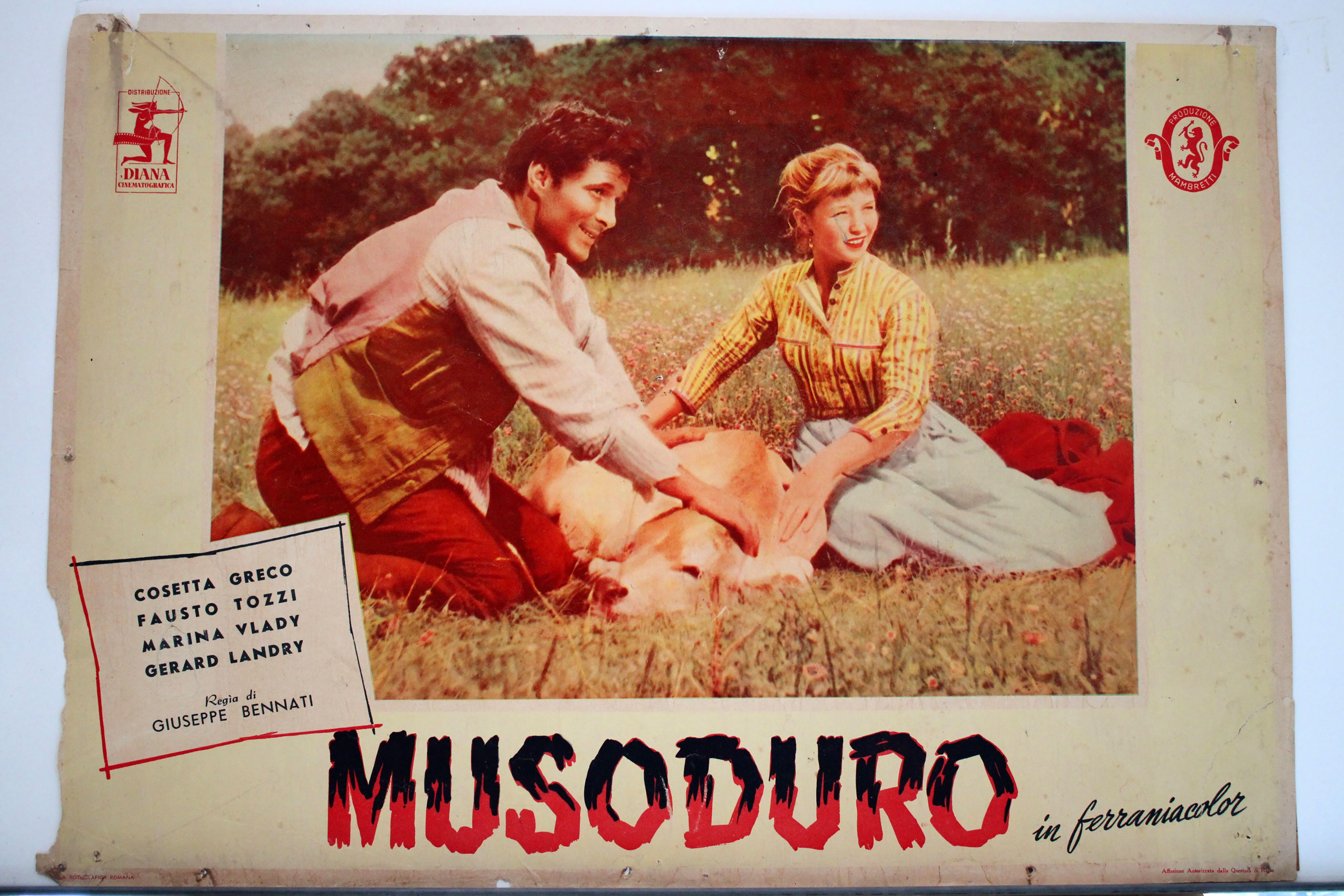 MUSODURO