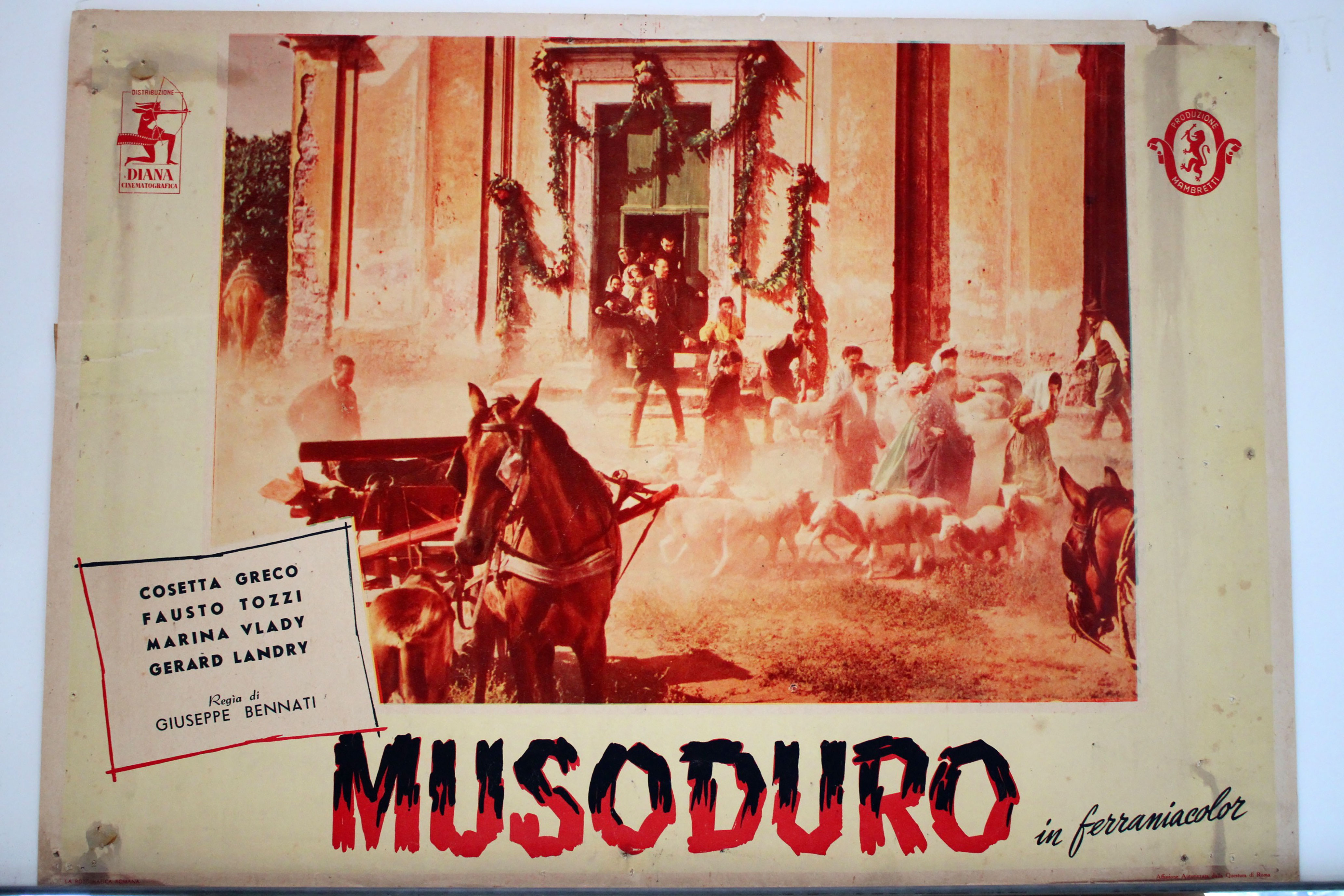 MUSODURO