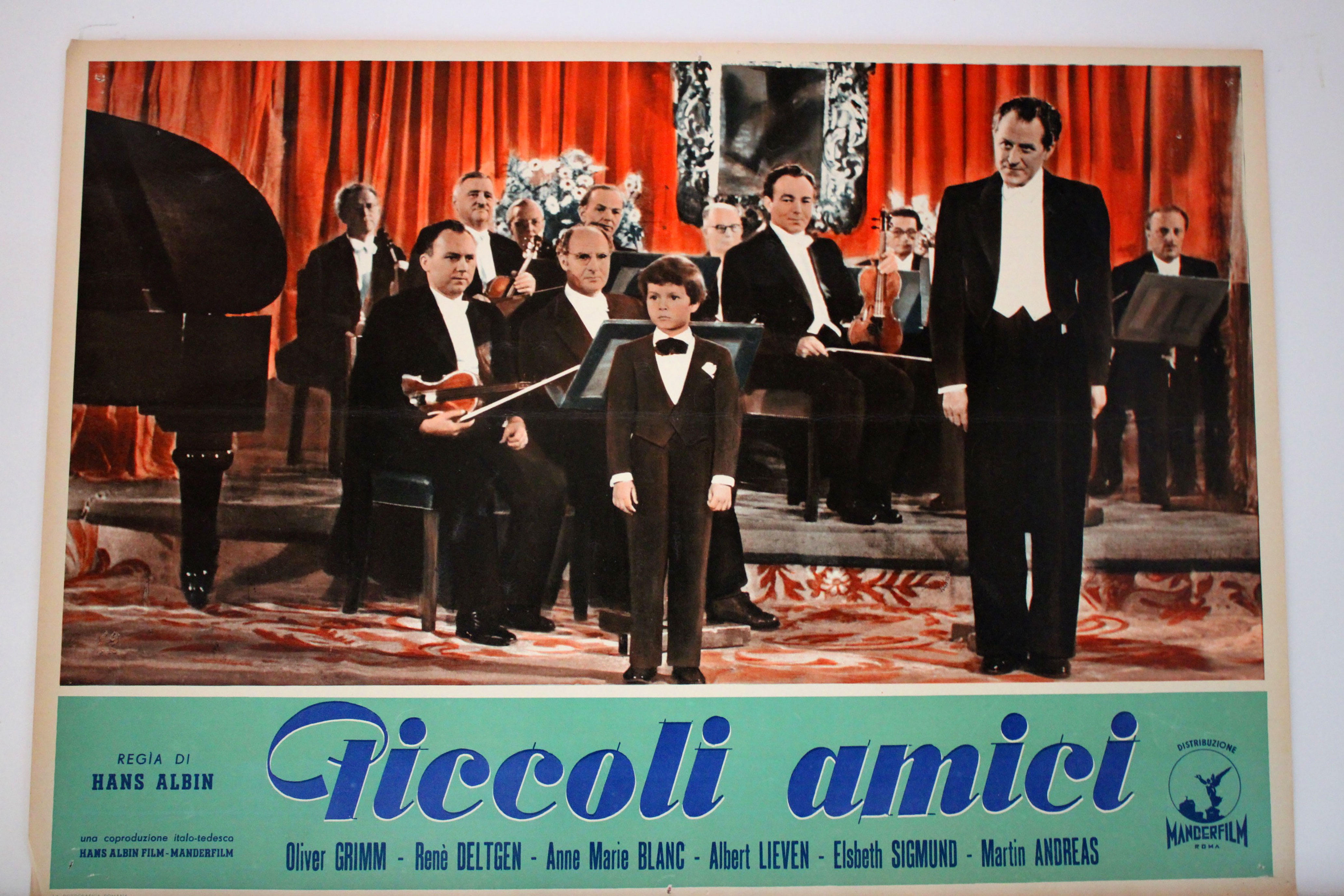 PICCOLI AMICI