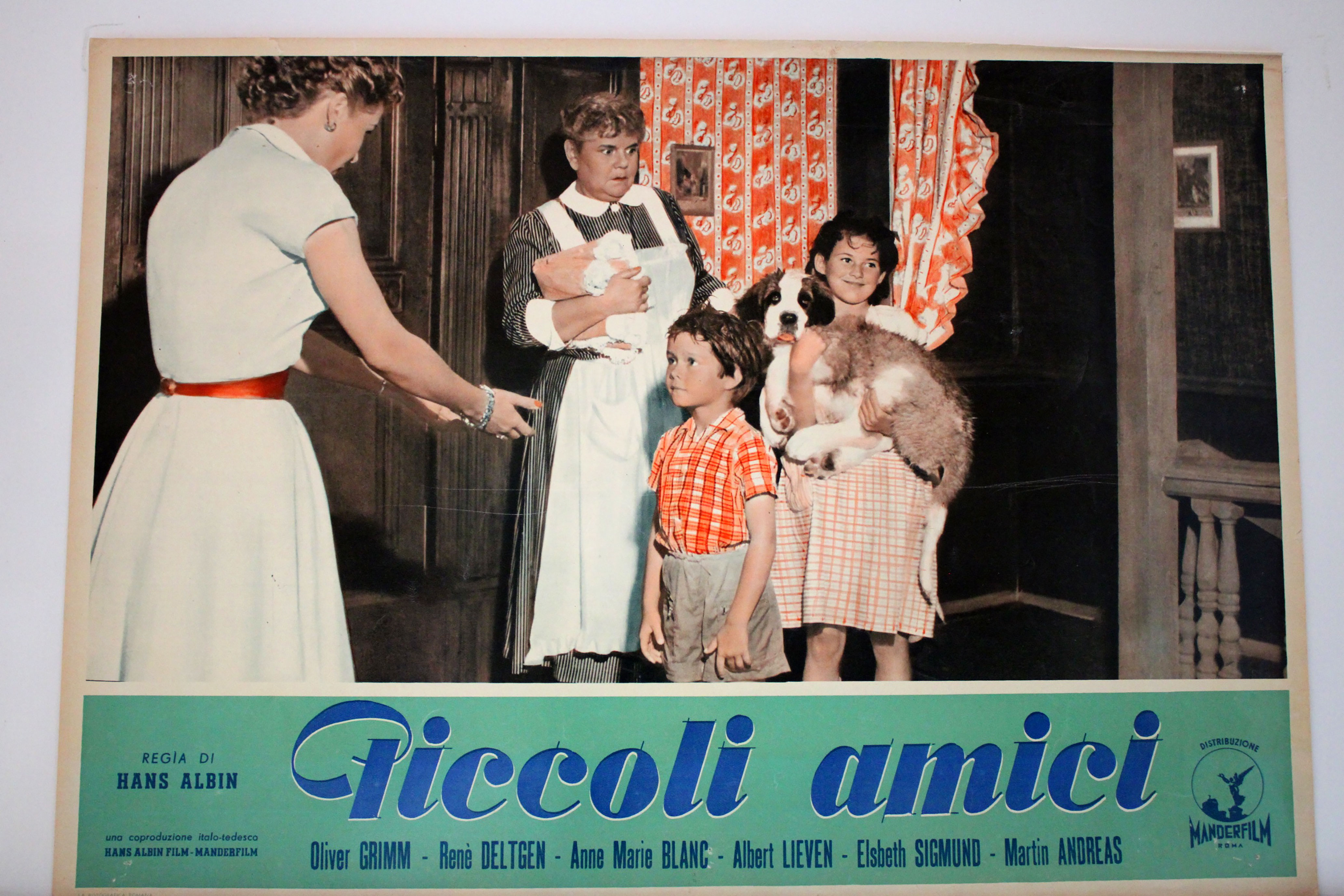 PICCOLI AMICI