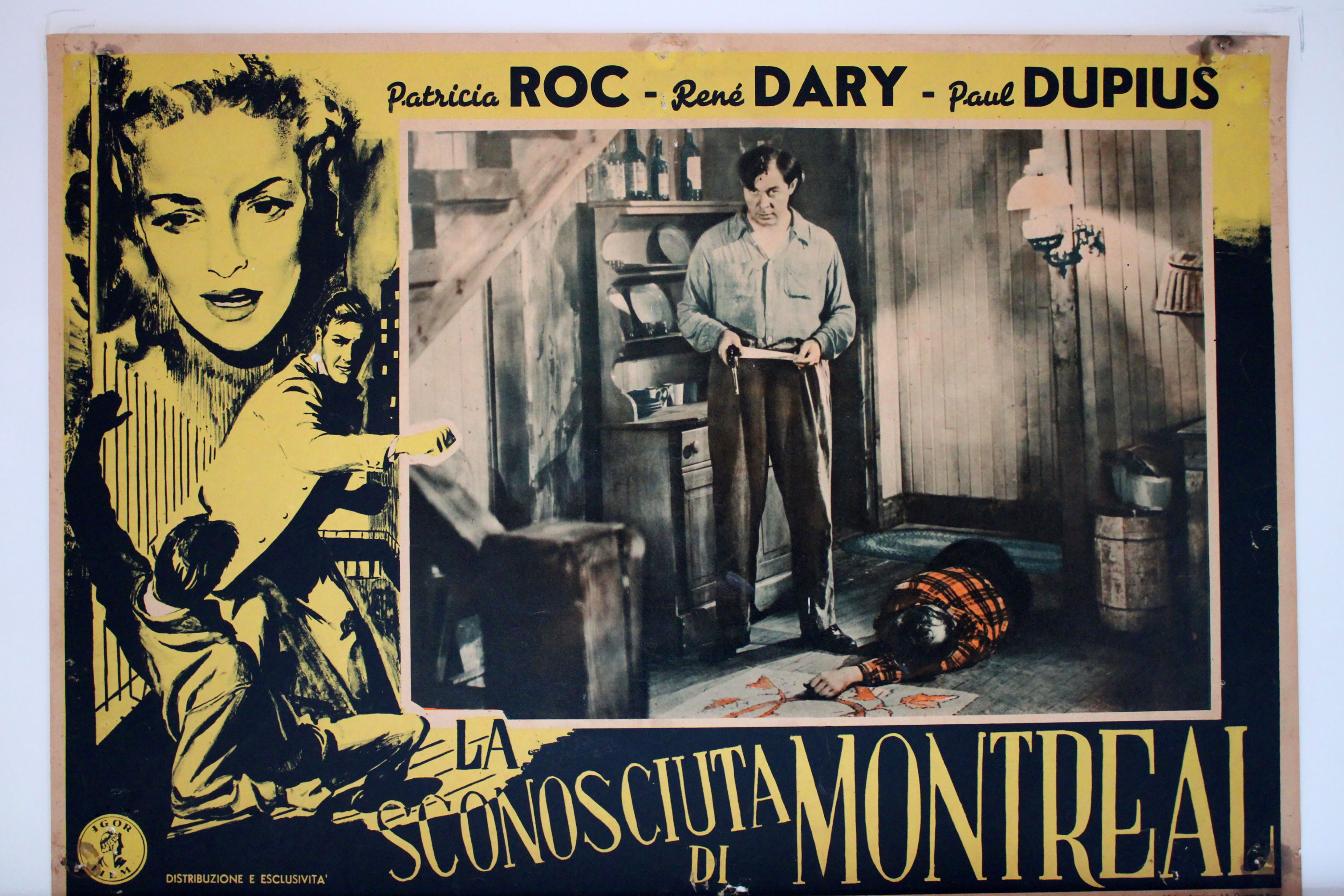 LA SCONOSCIUTA DI MONTREAL