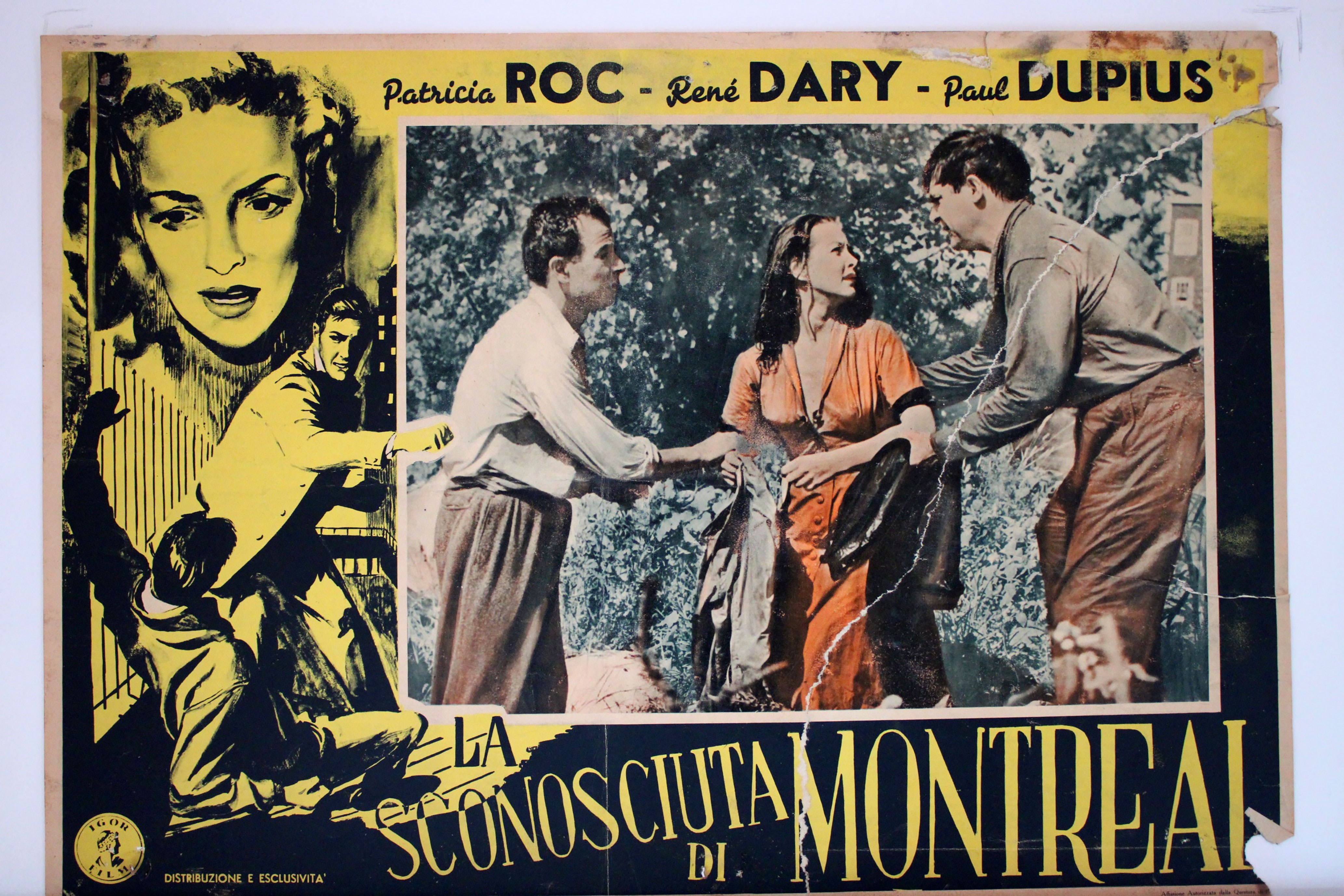 LA SCONOSCIUTA DI MONTREAL