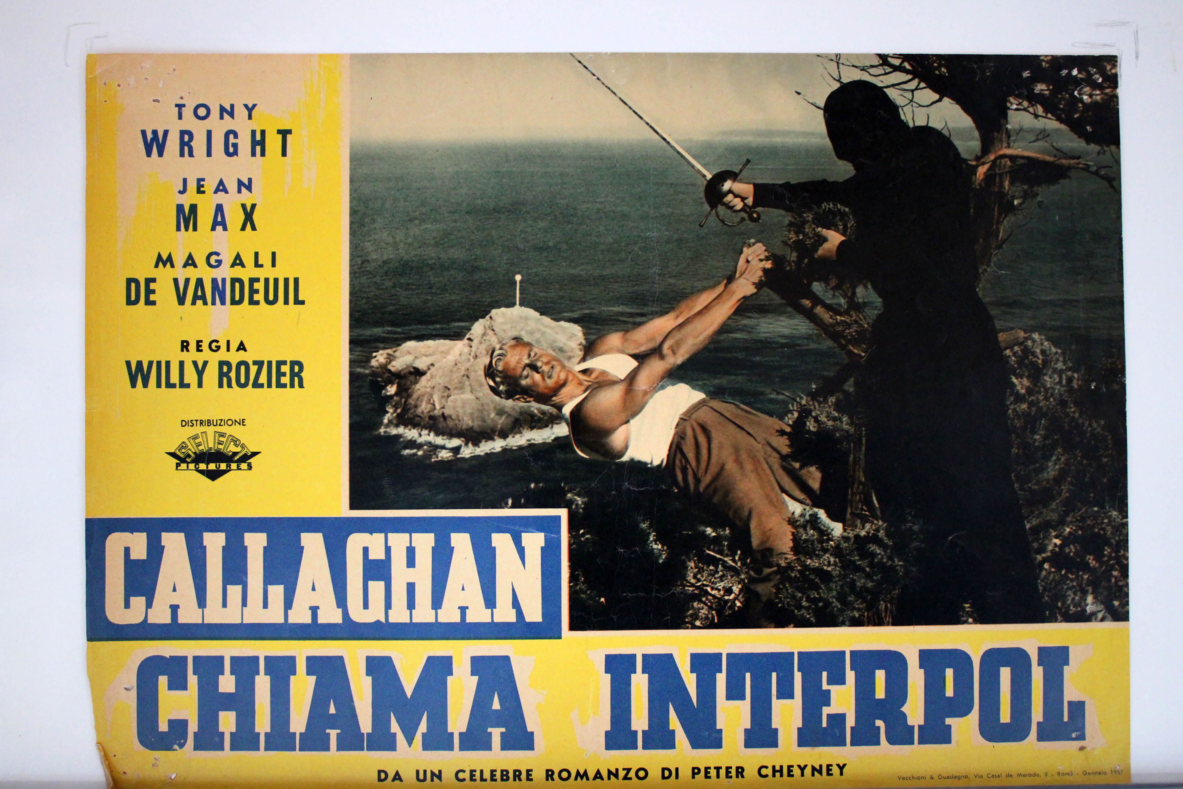 CALLAGHAN CHIAMA INTERPOL