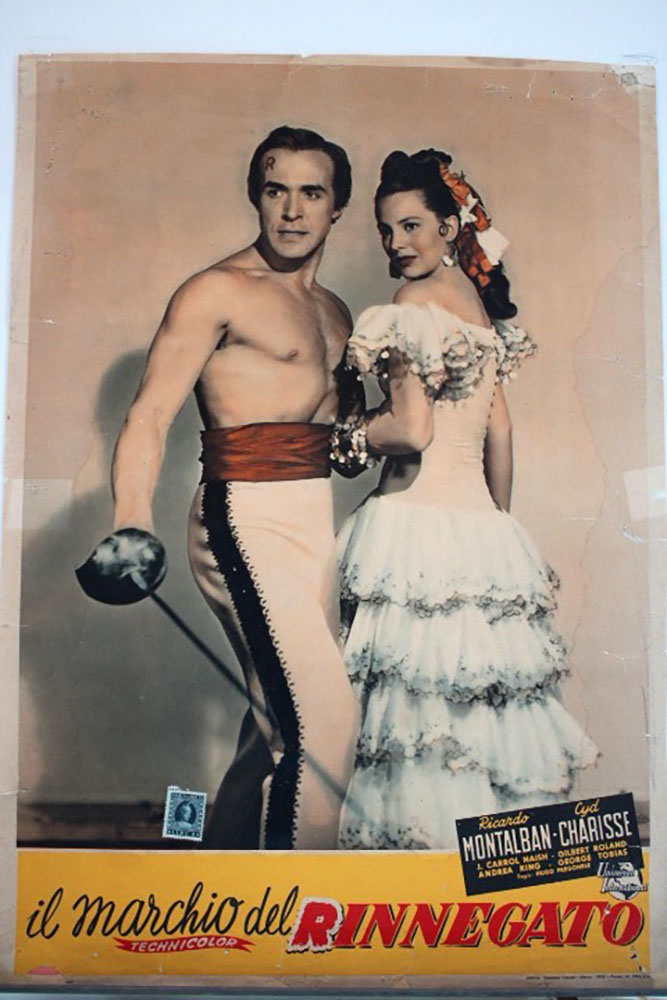 IL MARCHIO DEL RINNEGATO