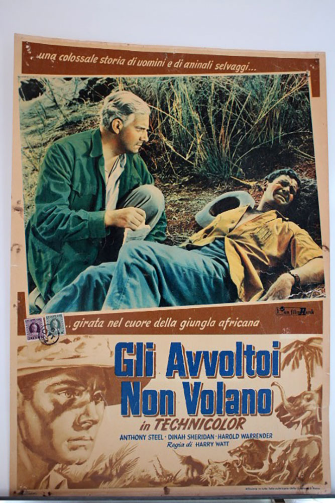 GLI AVVOLTOI NON VOLANO