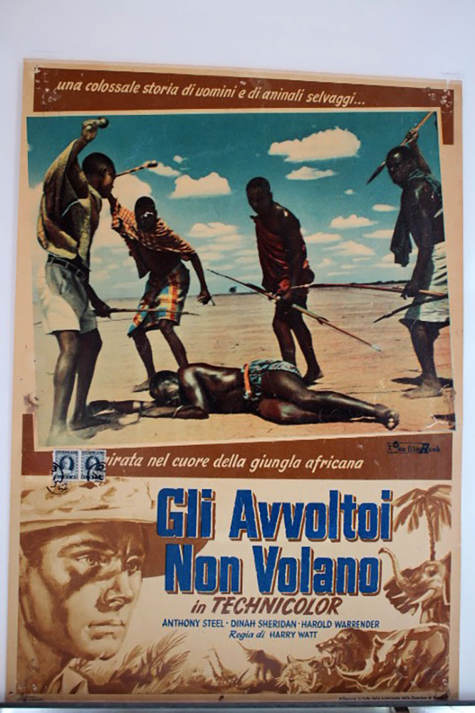 GLI AVVOLTOI NON VOLANO