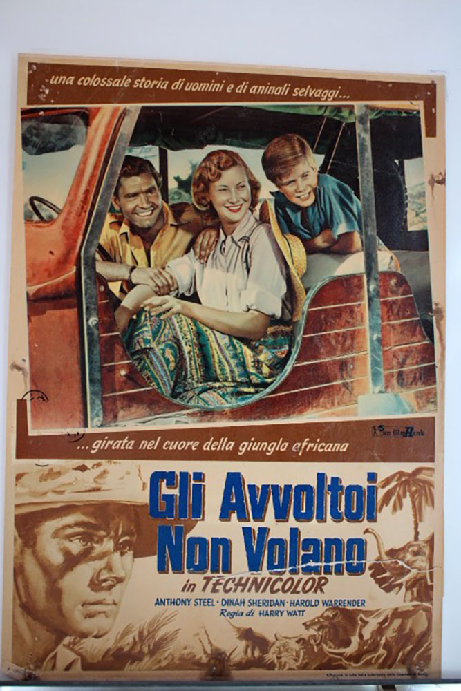 GLI AVVOLTOI NON VOLANO