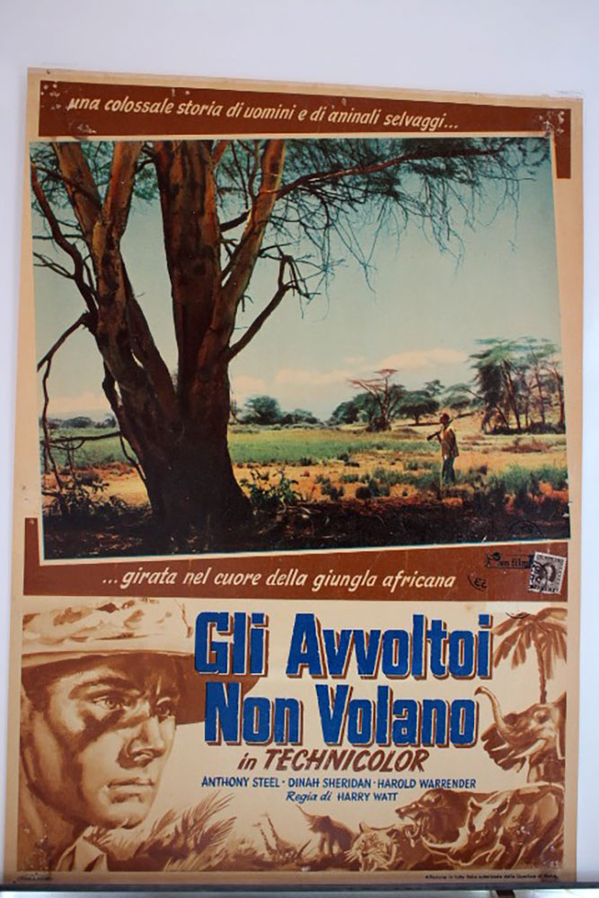 GLI AVVOLTOI NON VOLANO