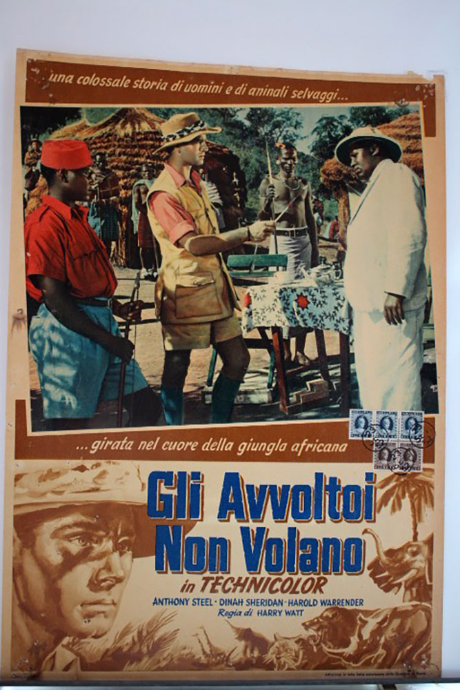 GLI AVVOLTOI NON VOLANO