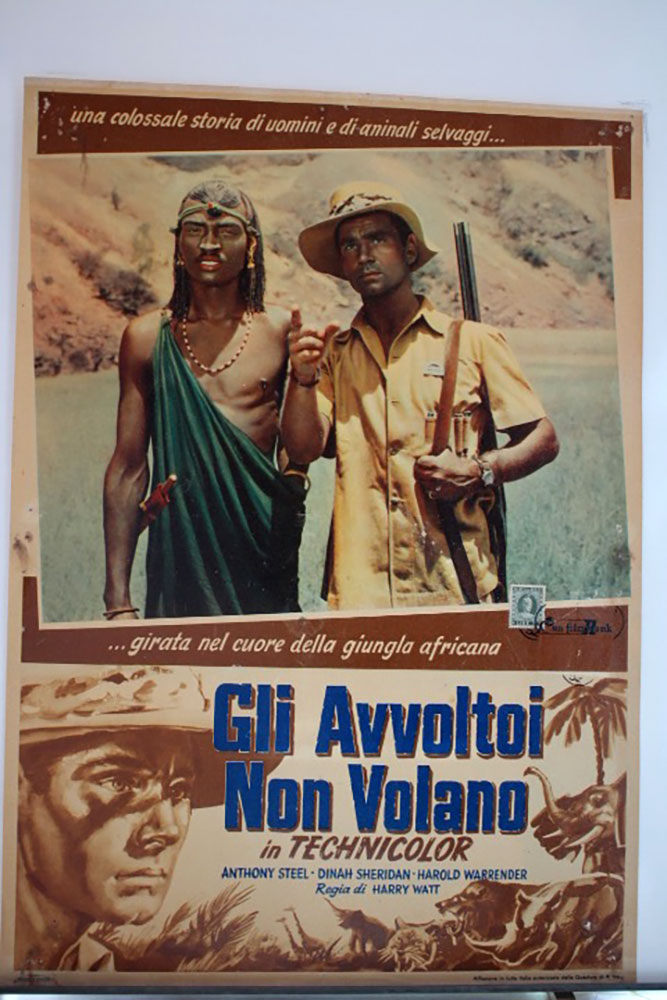 GLI AVVOLTOI NON VOLANO