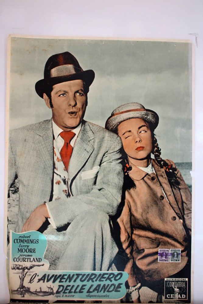 LAVVENTURIERO DELLE LANDE