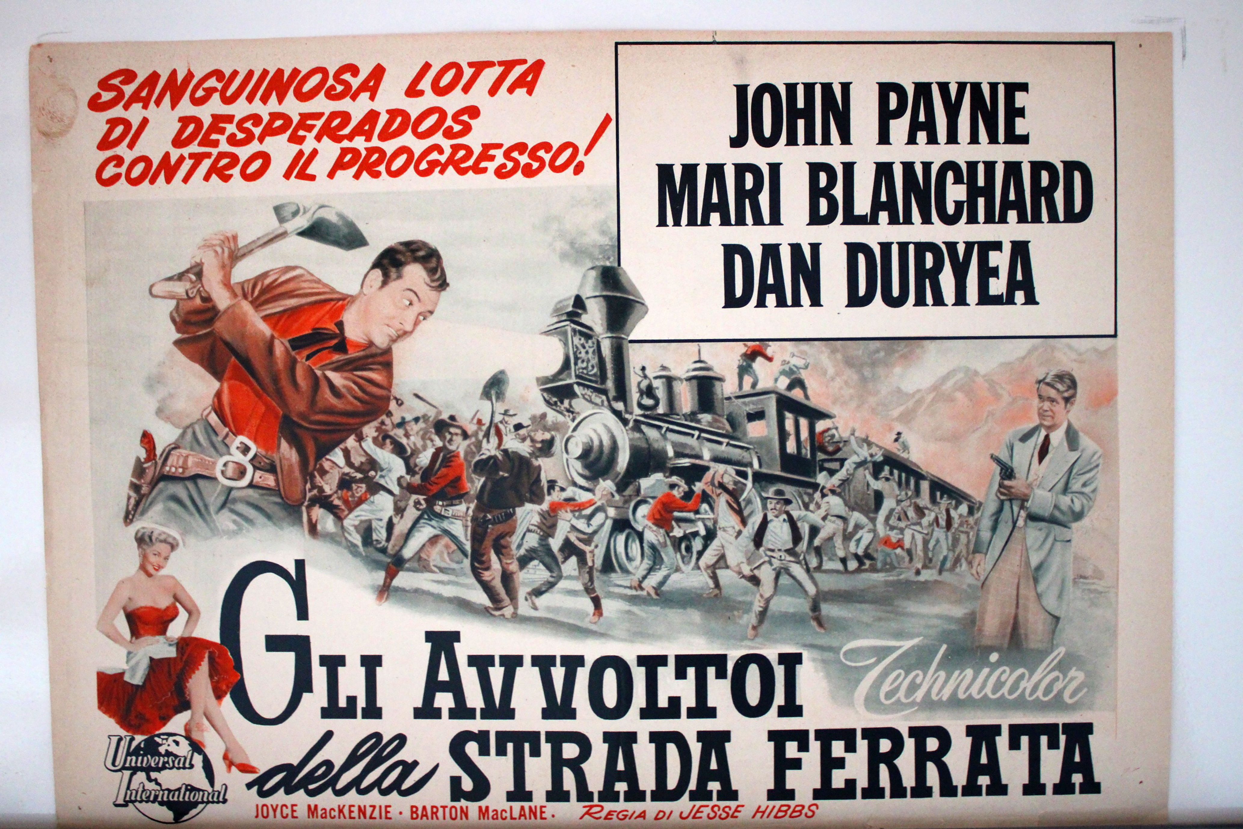 GLI AVVOLTOI DELLA STRADA FERRATA