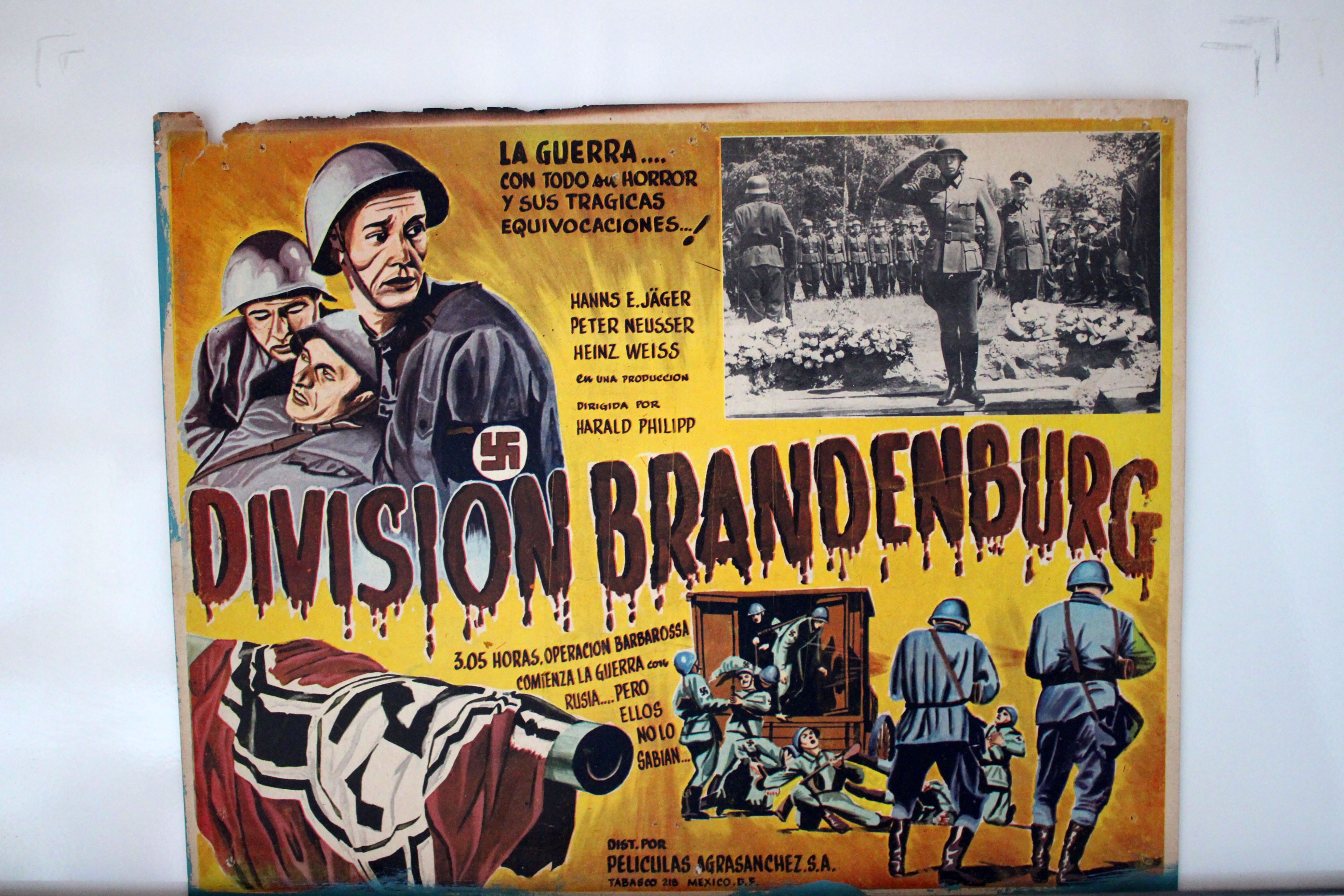 DIVISION BRANDENBURG