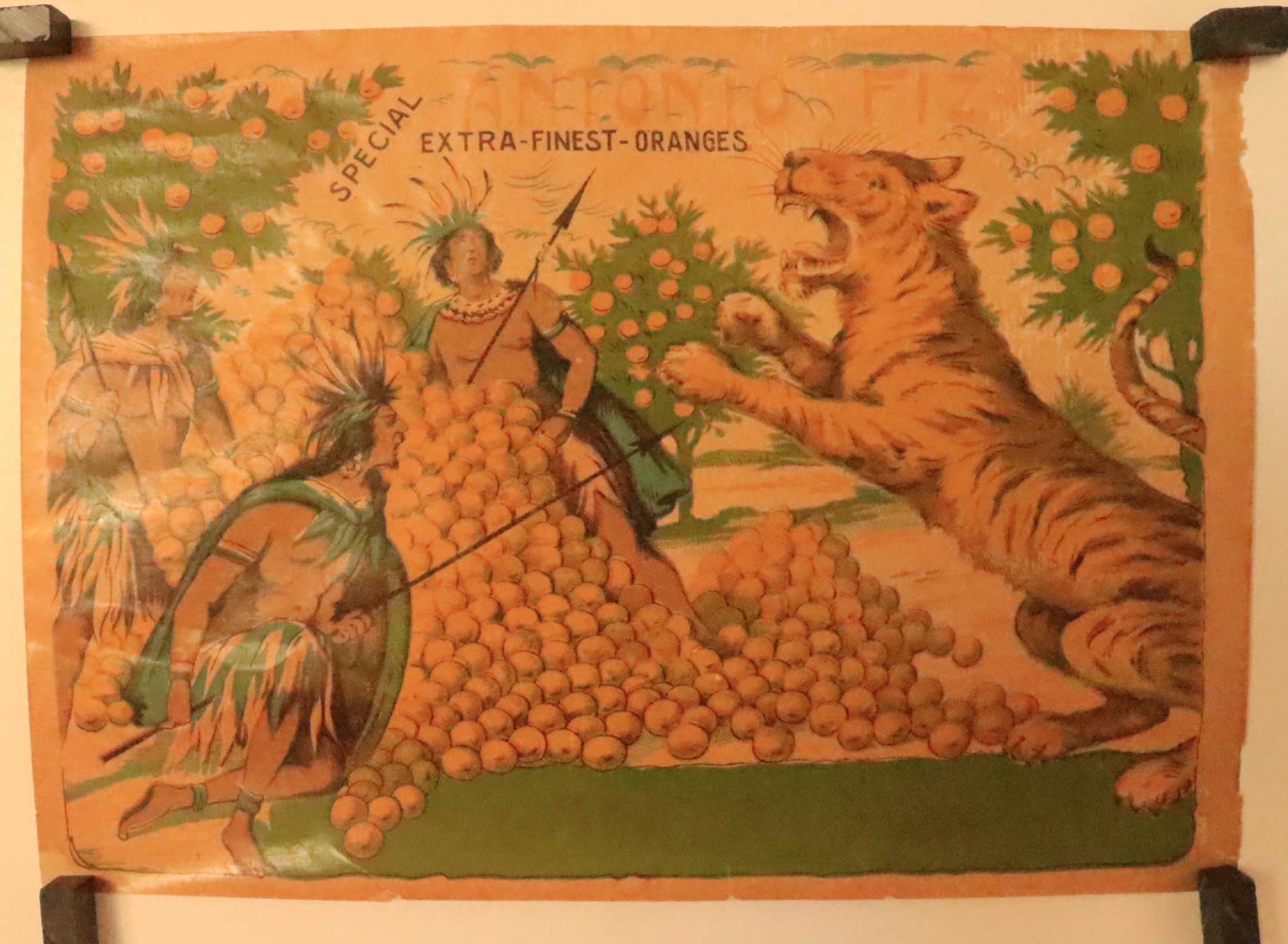 finest oranges-tiger