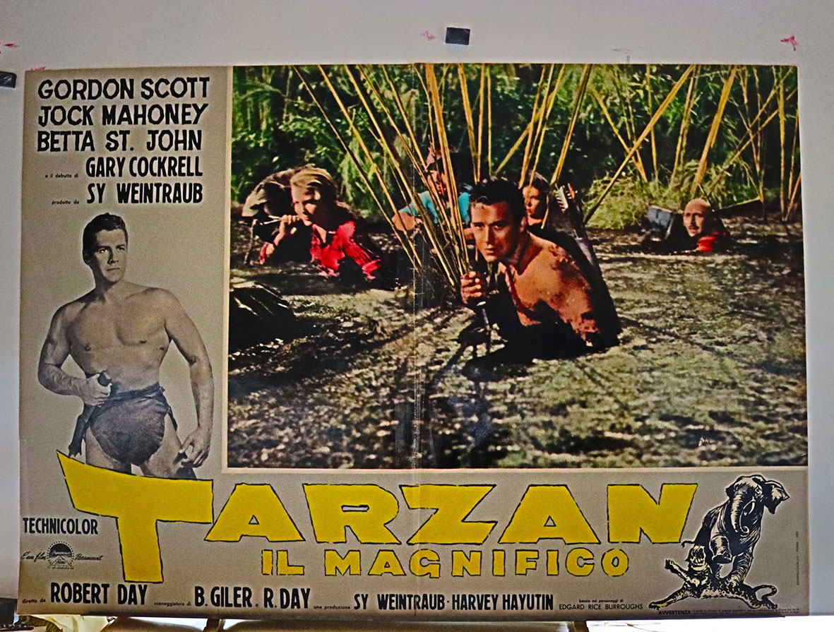 TARZAN IL MAGNIFICO