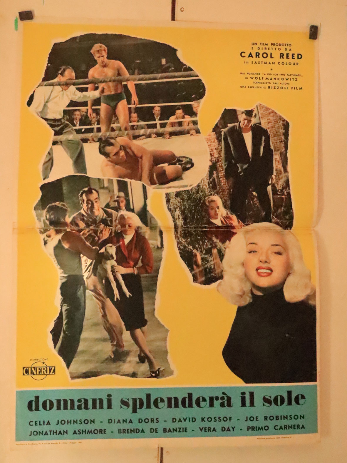 DOMANI SPLENDERA IL SOLE