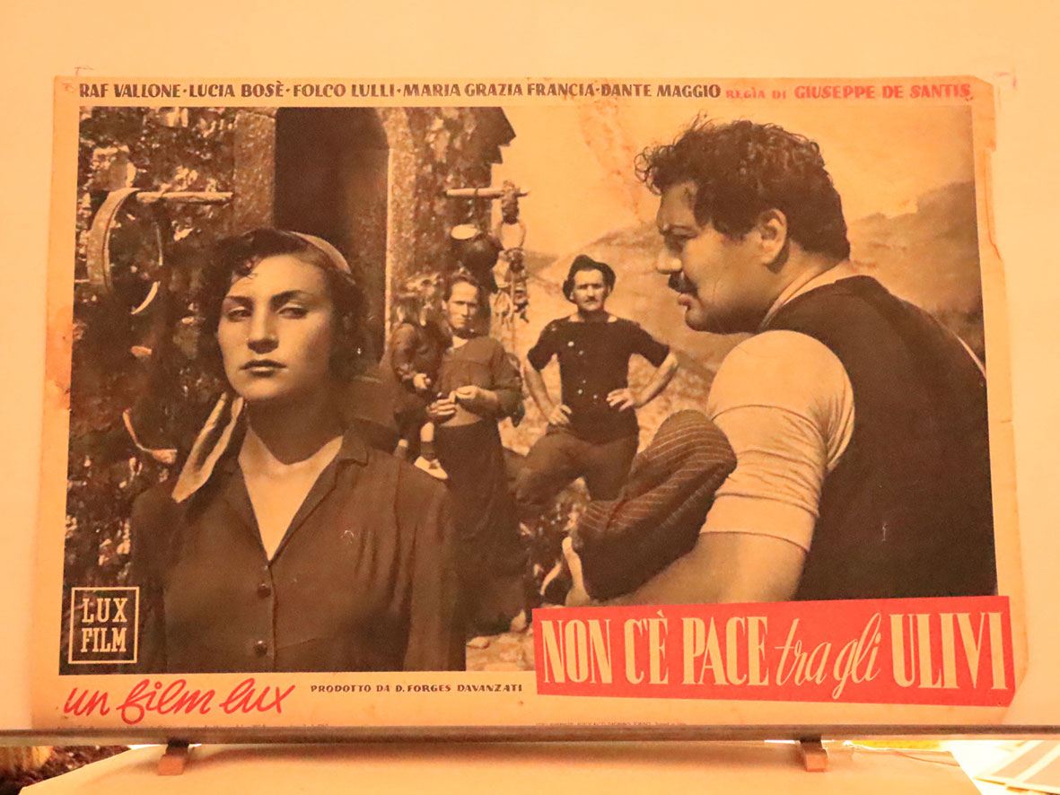NON CE PACE TRA GLI ULIVI