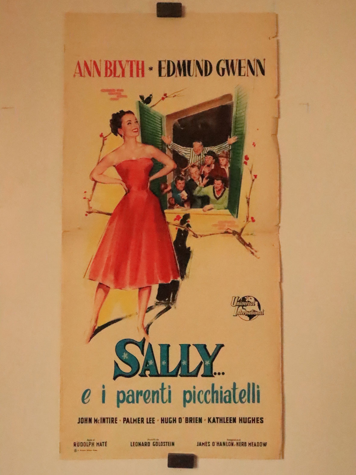 SALLY E I PARENTI PICCHIATELLI