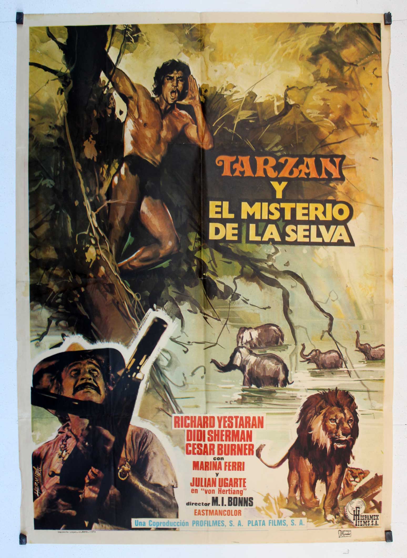 TARZAN Y EL MISTERIO DE LA SELVA