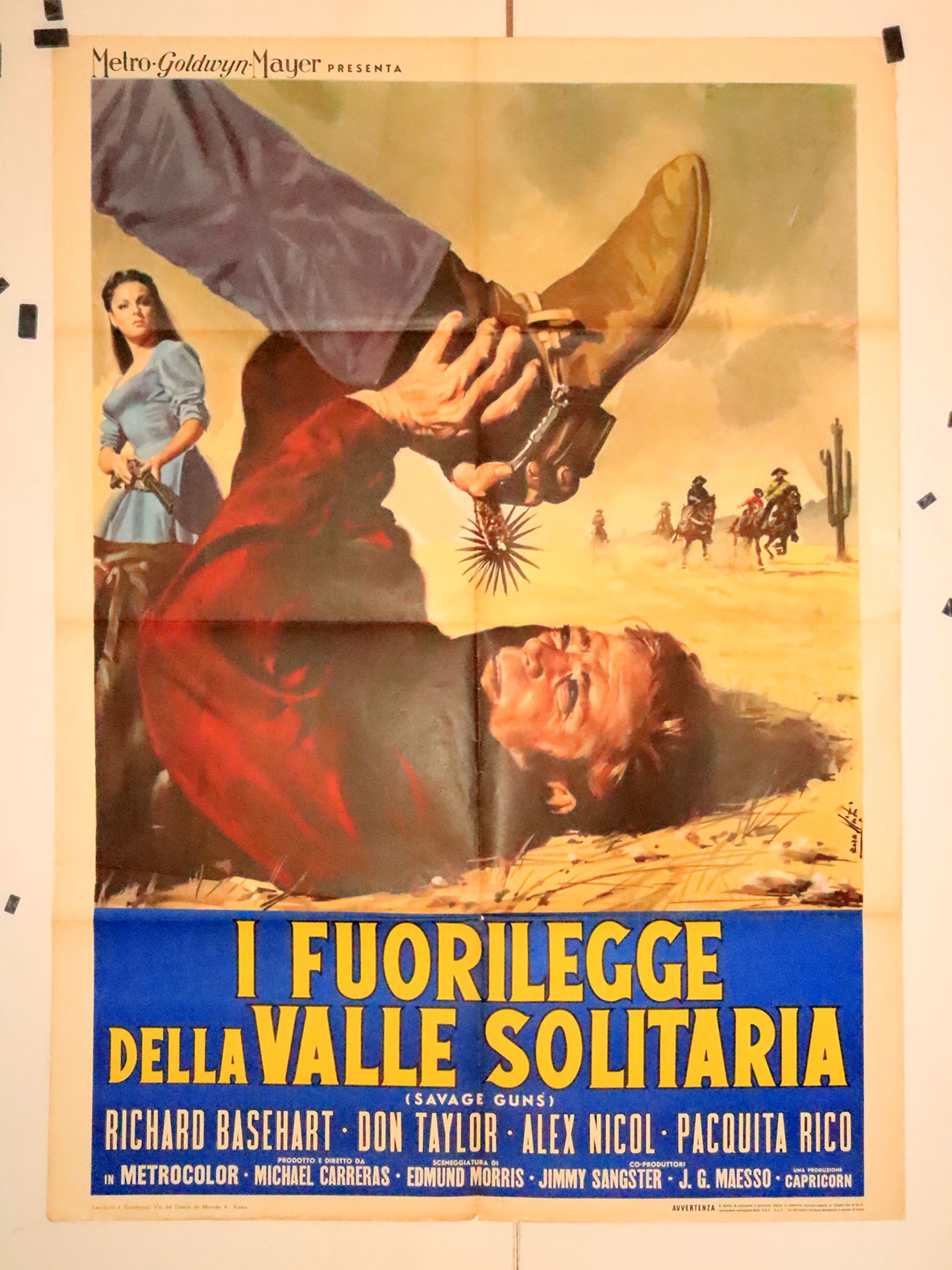 I FUORILEGGE DELLA VALLE SOLITARIA