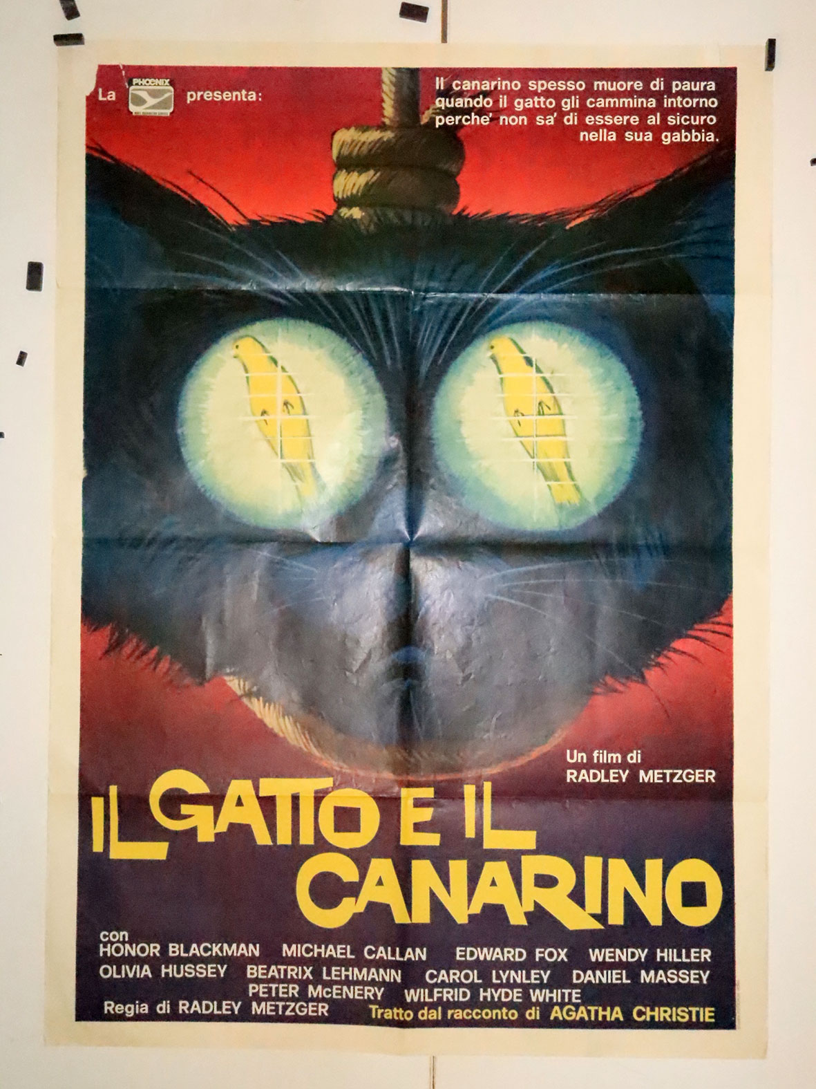 IL GATTO E IL CANARINO