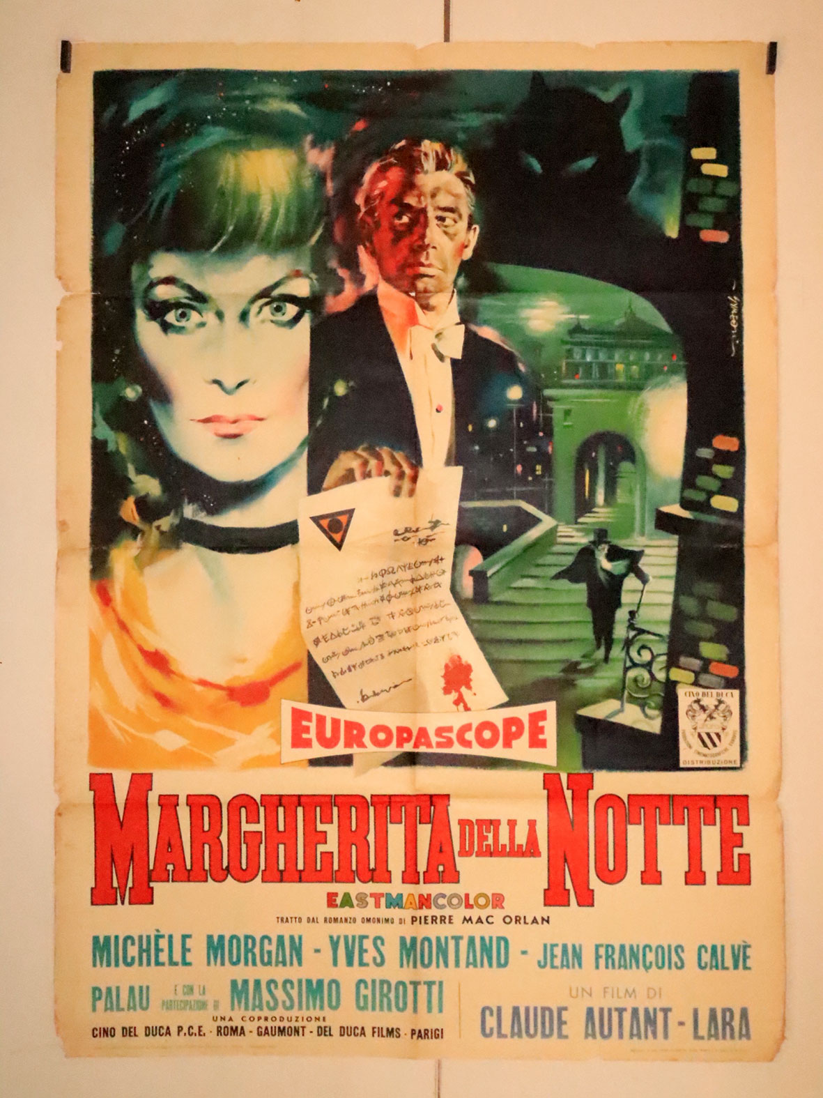 MARGHERITA DELLA NOTTE