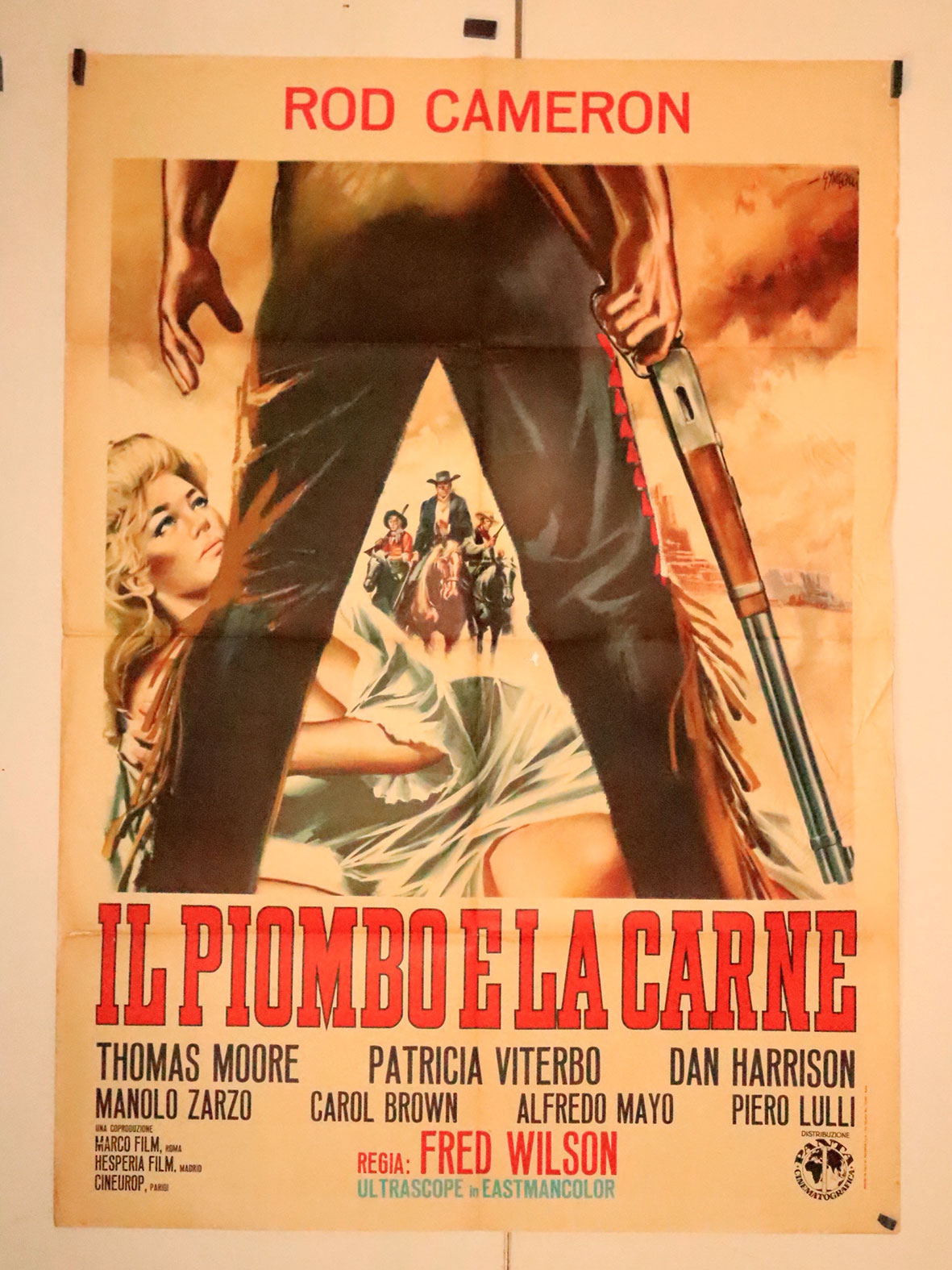 IL PIOMBO E LA CARNE